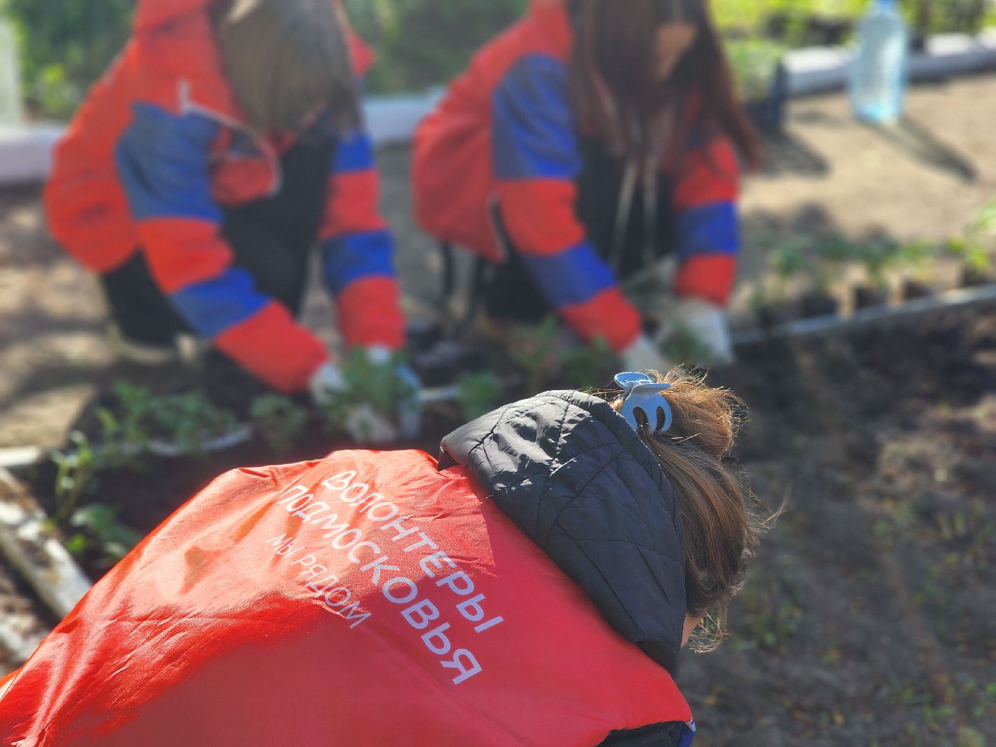 воскресенск, благоустройство , волонтеры,