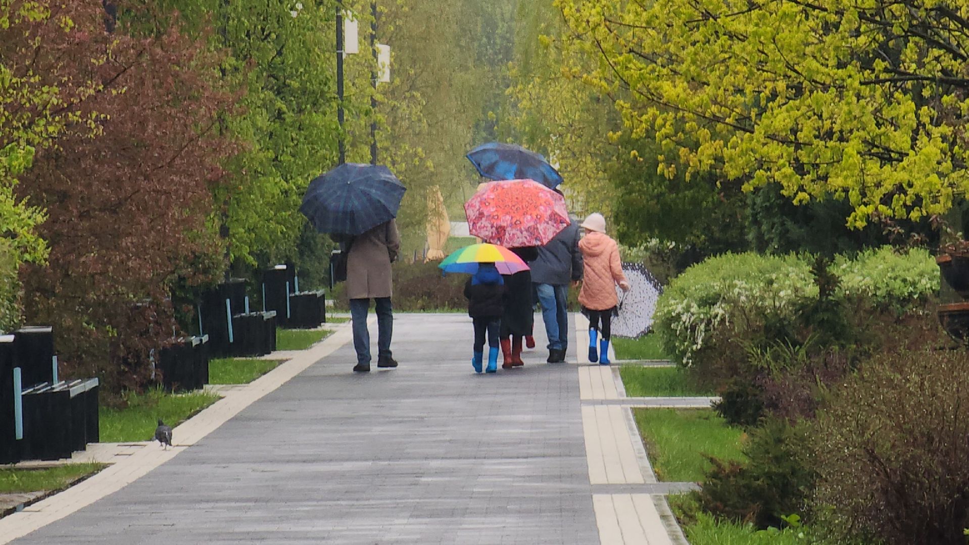 погода, непогода, мытищи,