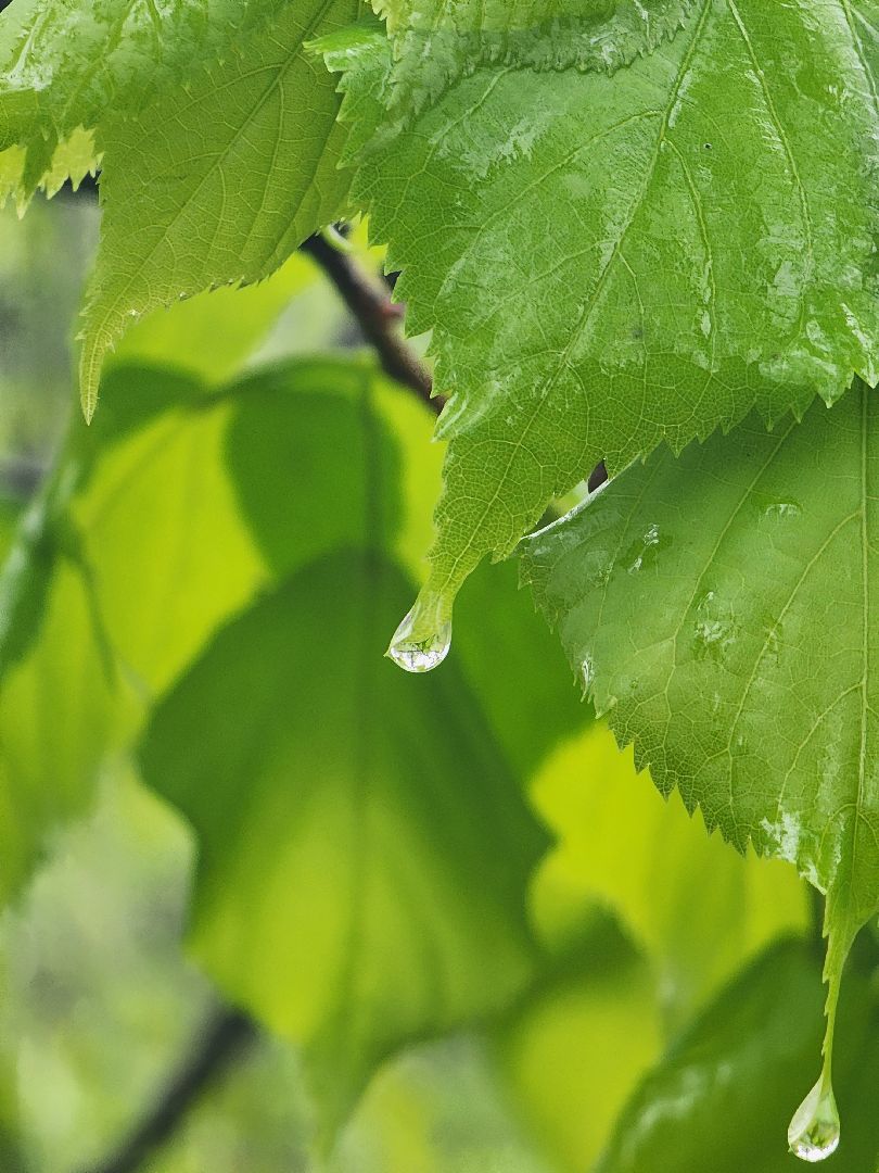 погода, непогода, мытищи,