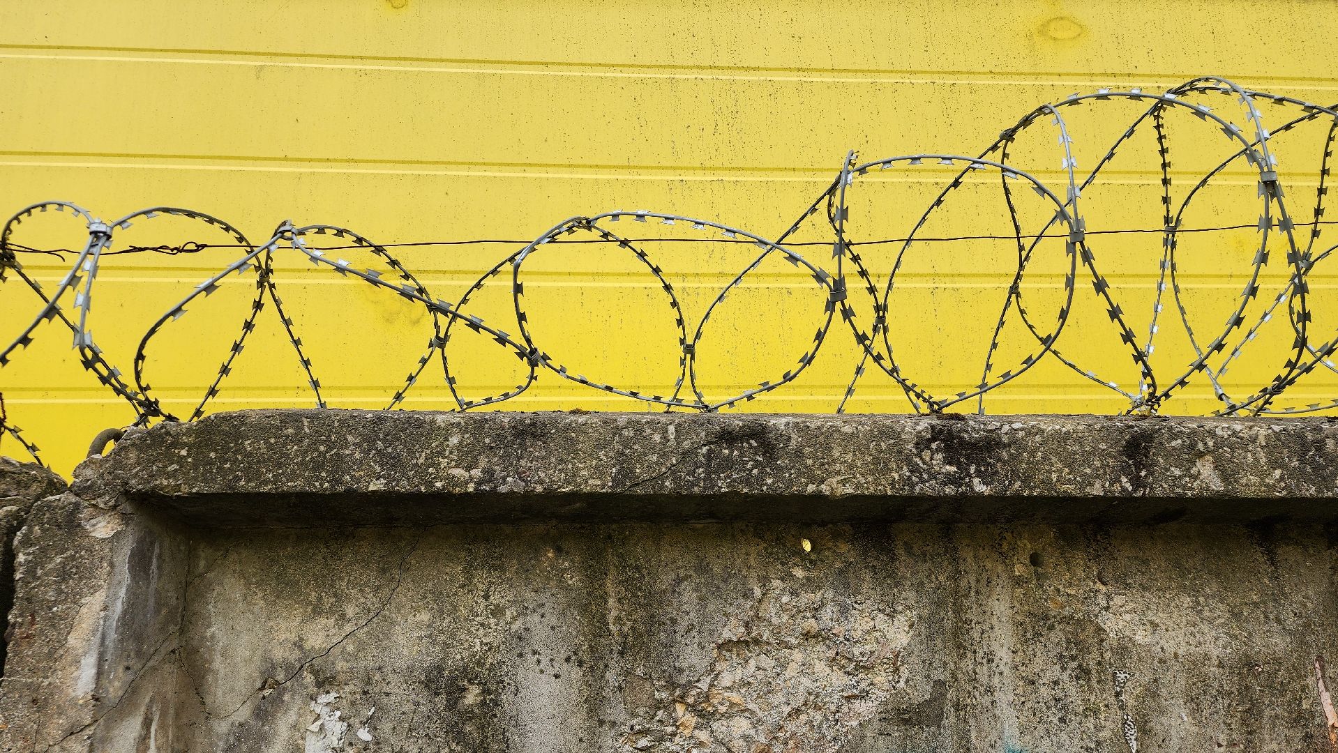 выездная администрация,обращение жителей, благоустройство, поселок зеленый, богородский городской округ,