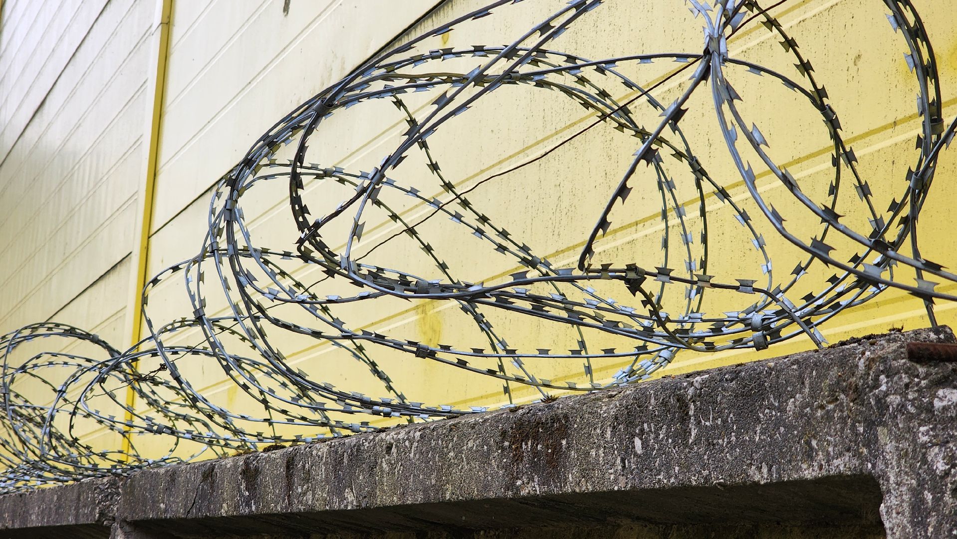 выездная администрация,обращение жителей, благоустройство, поселок зеленый, богородский городской округ,