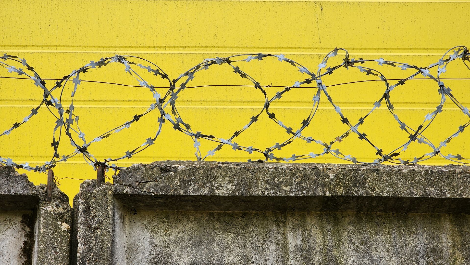 выездная администрация,обращение жителей, благоустройство, поселок зеленый, богородский городской округ,