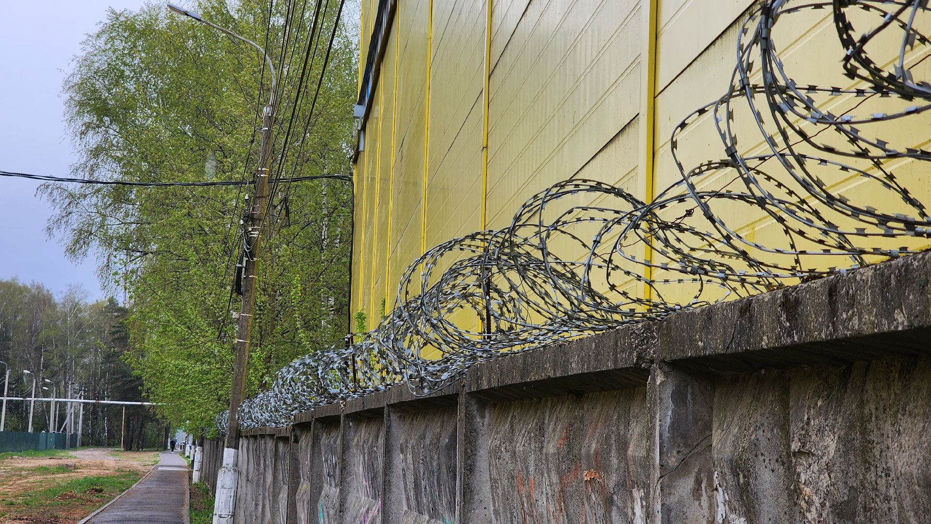 выездная администрация,обращение жителей, благоустройство, поселок зеленый, богородский городской округ,