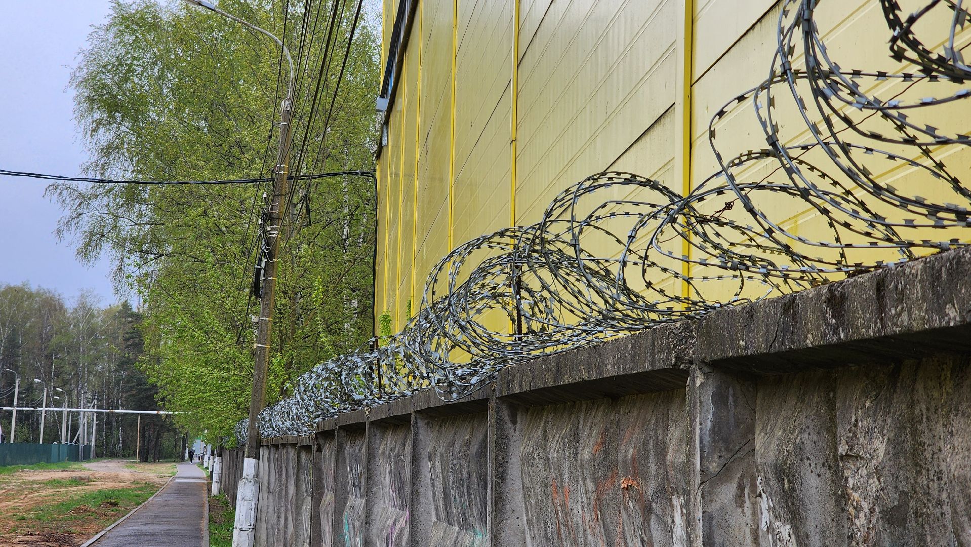 выездная администрация,обращение жителей, благоустройство, поселок зеленый, богородский городской округ,