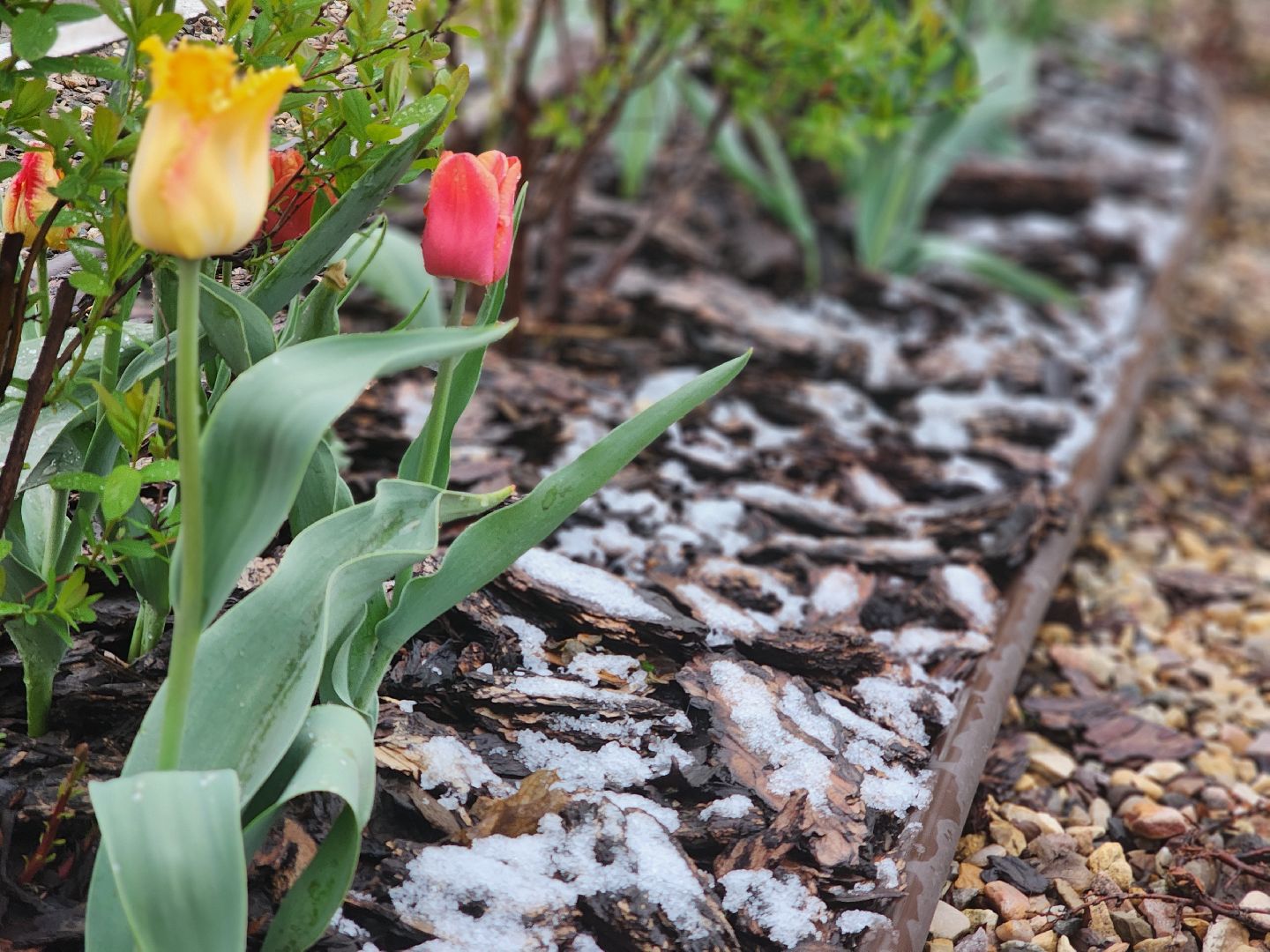 дубна, погода, день труда,