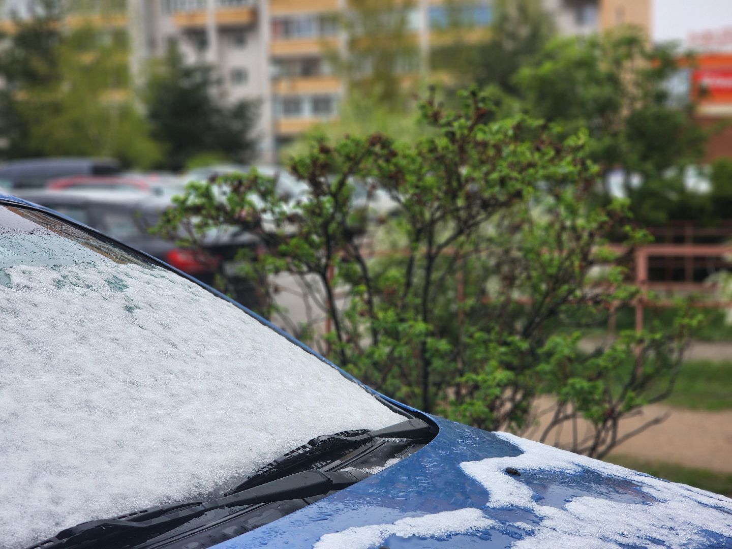 дубна, погода, день труда,