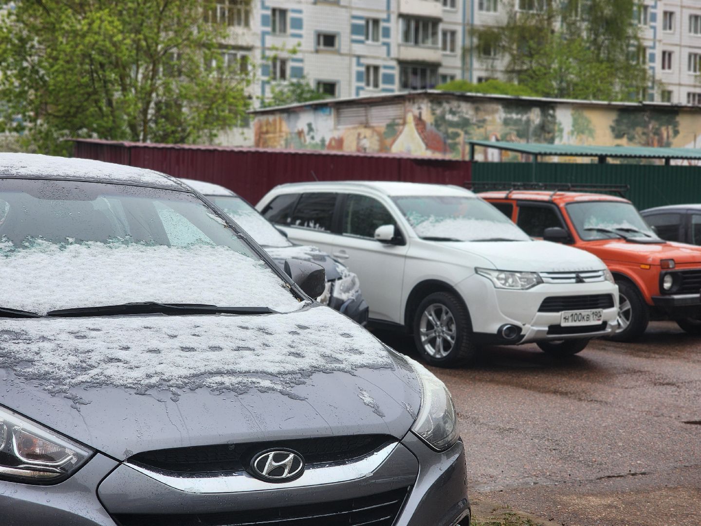 дубна, погода, день труда,