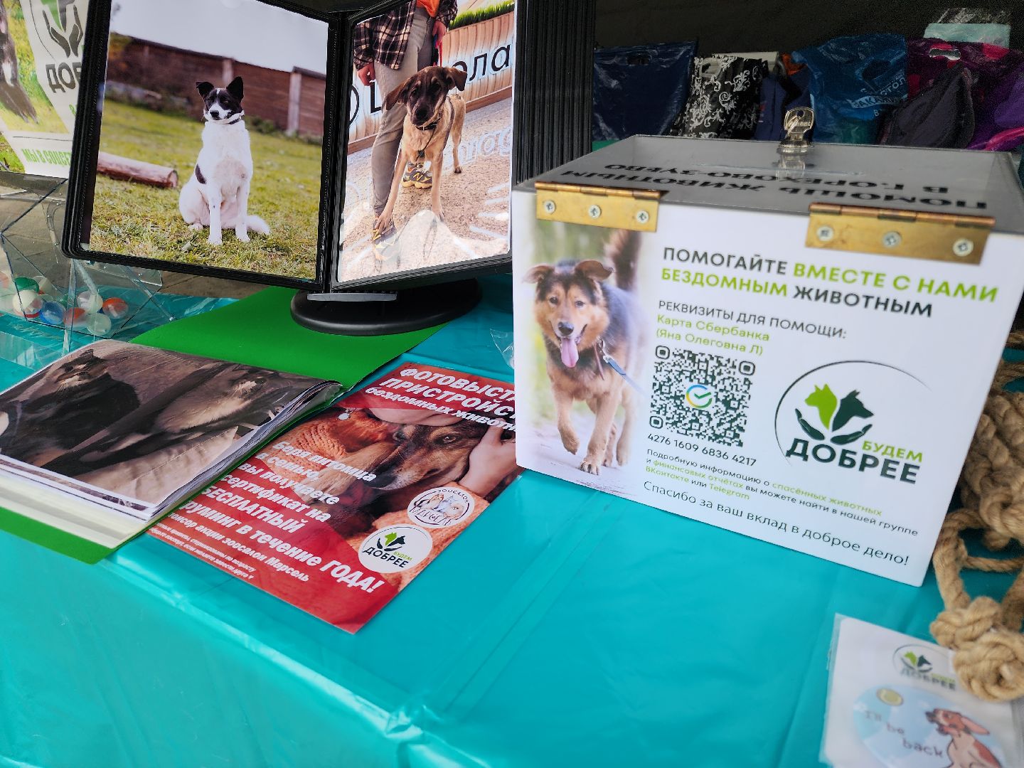 теплый сезон, парки подмосковья ., орехово-зуево,
