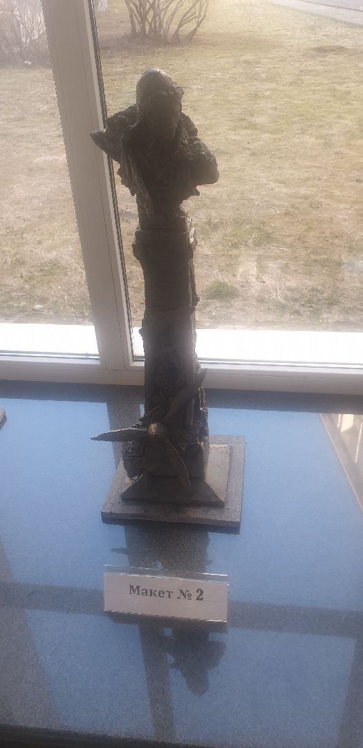 Долгопрудный, штурман, летчик