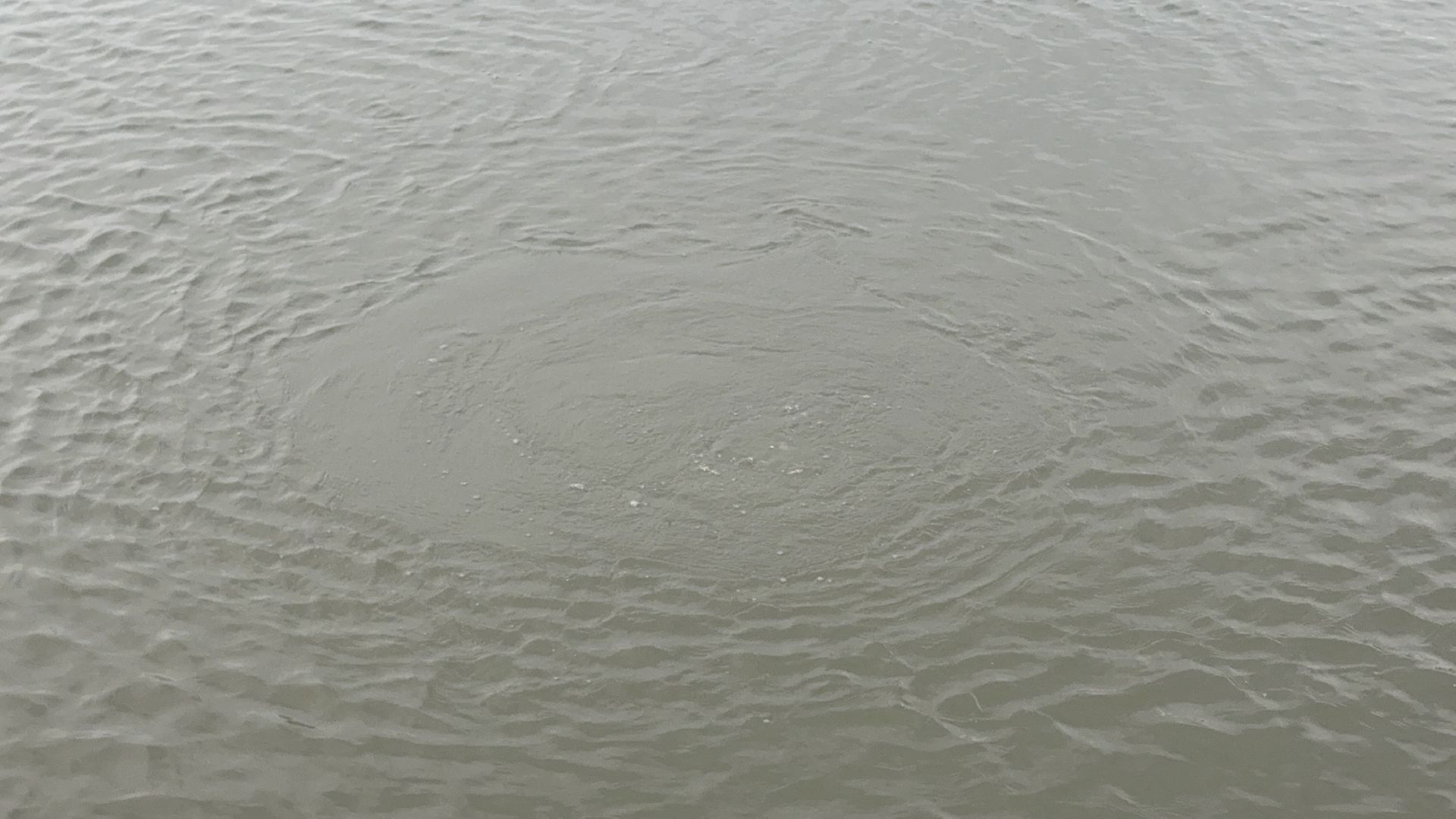 солнечногорск, озеро сенеж, очистка дна, водолазы,  жители, купальный сезон,