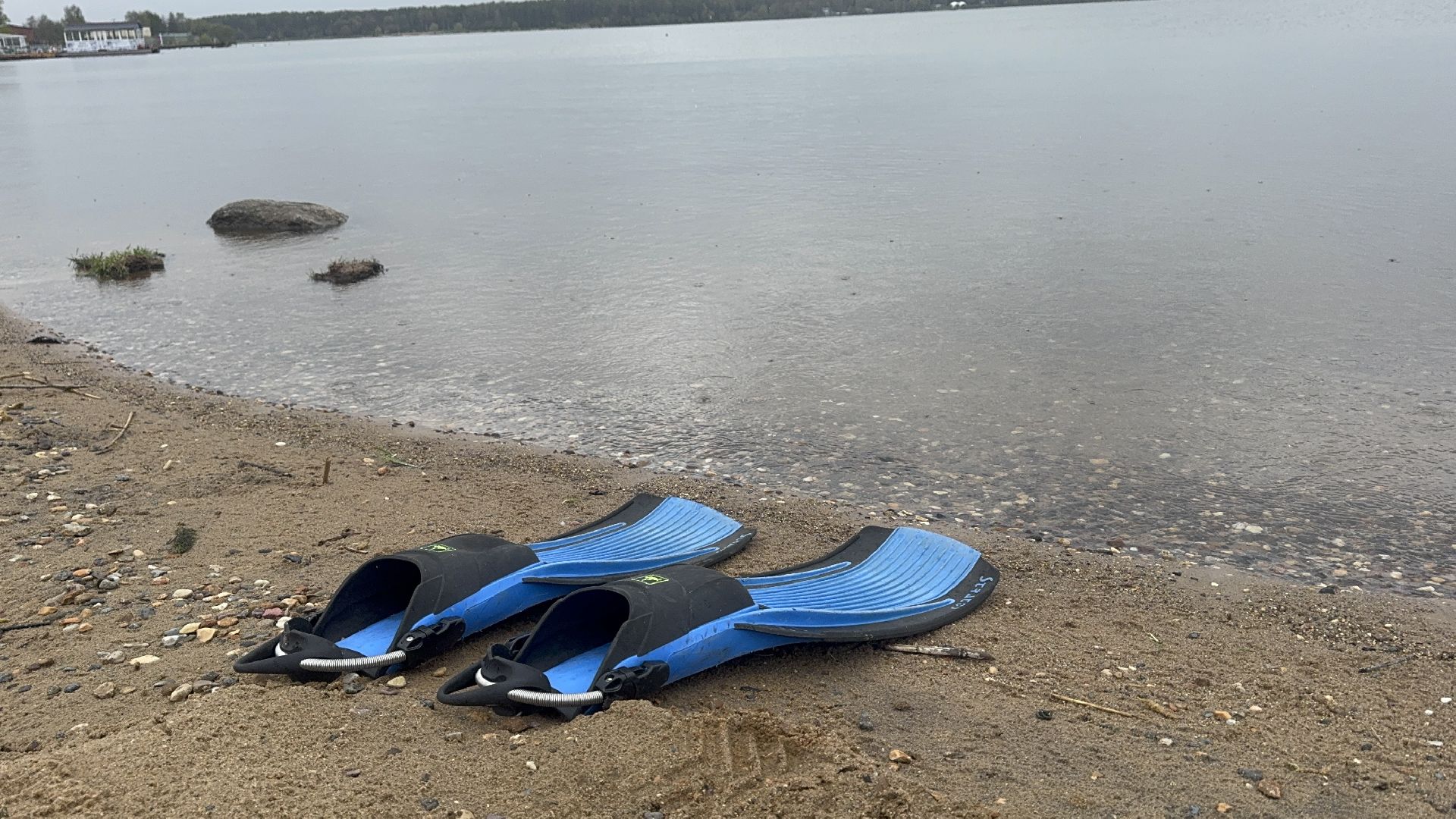 солнечногорск, озеро сенеж, очистка дна, водолазы,  жители, купальный сезон,