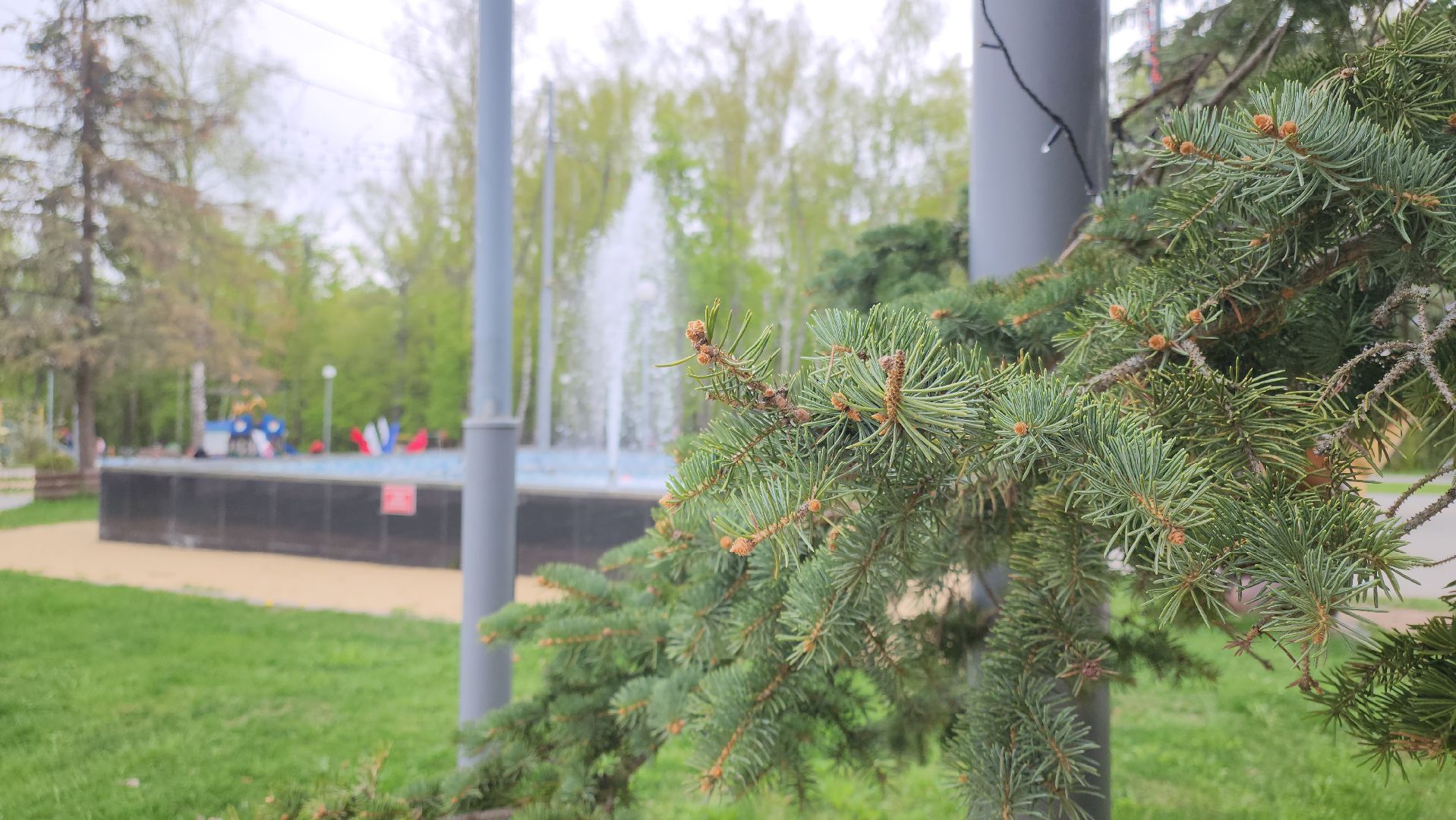 кашира, парк, фонтан, теплый сезон, благоустройство, озеленение,