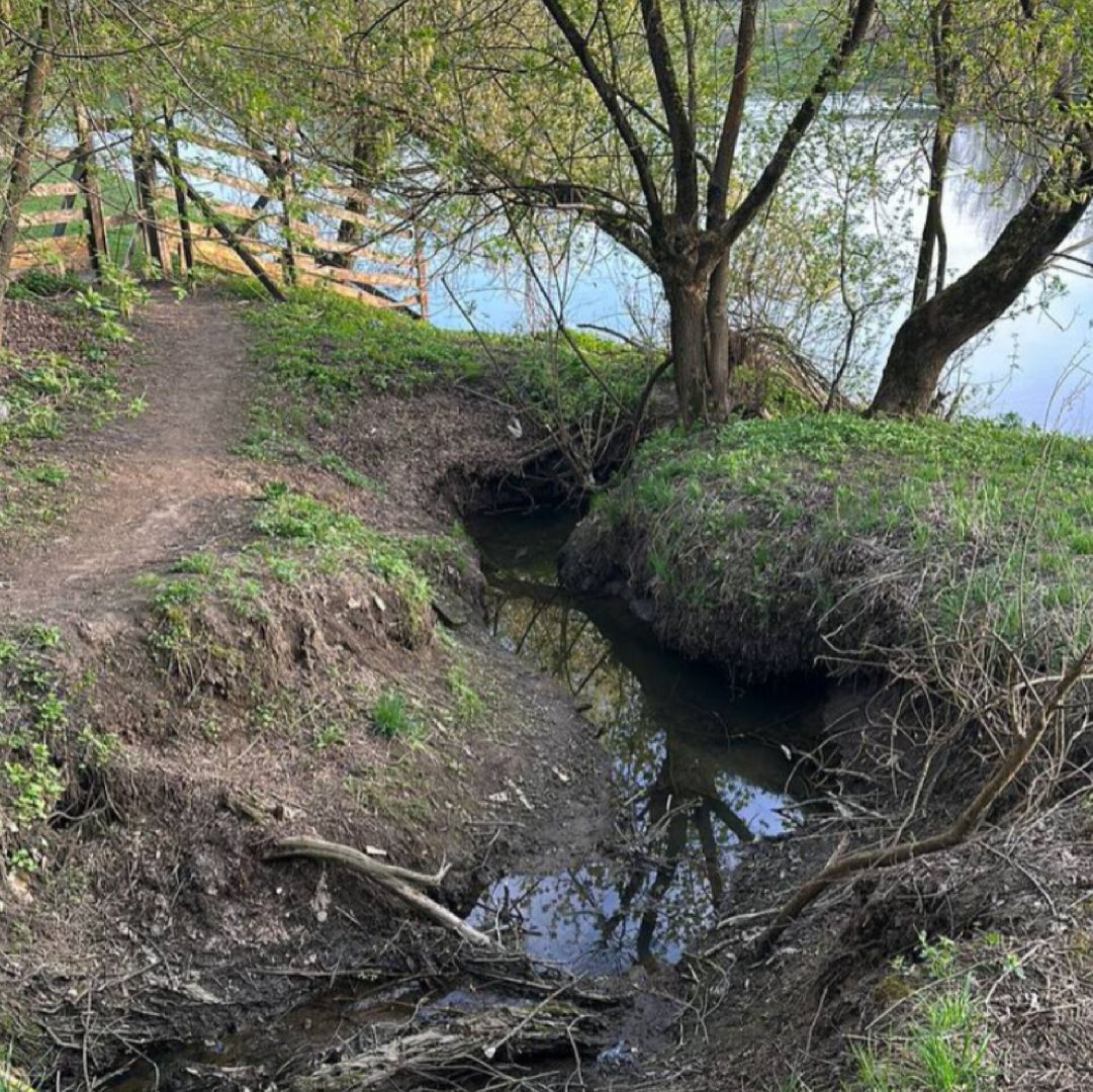 Зкология,москва-река, очистка реки, образование, люди звенигорода,