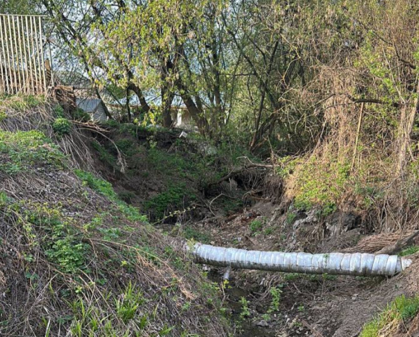 Зкология,москва-река, очистка реки, образование, люди звенигорода,