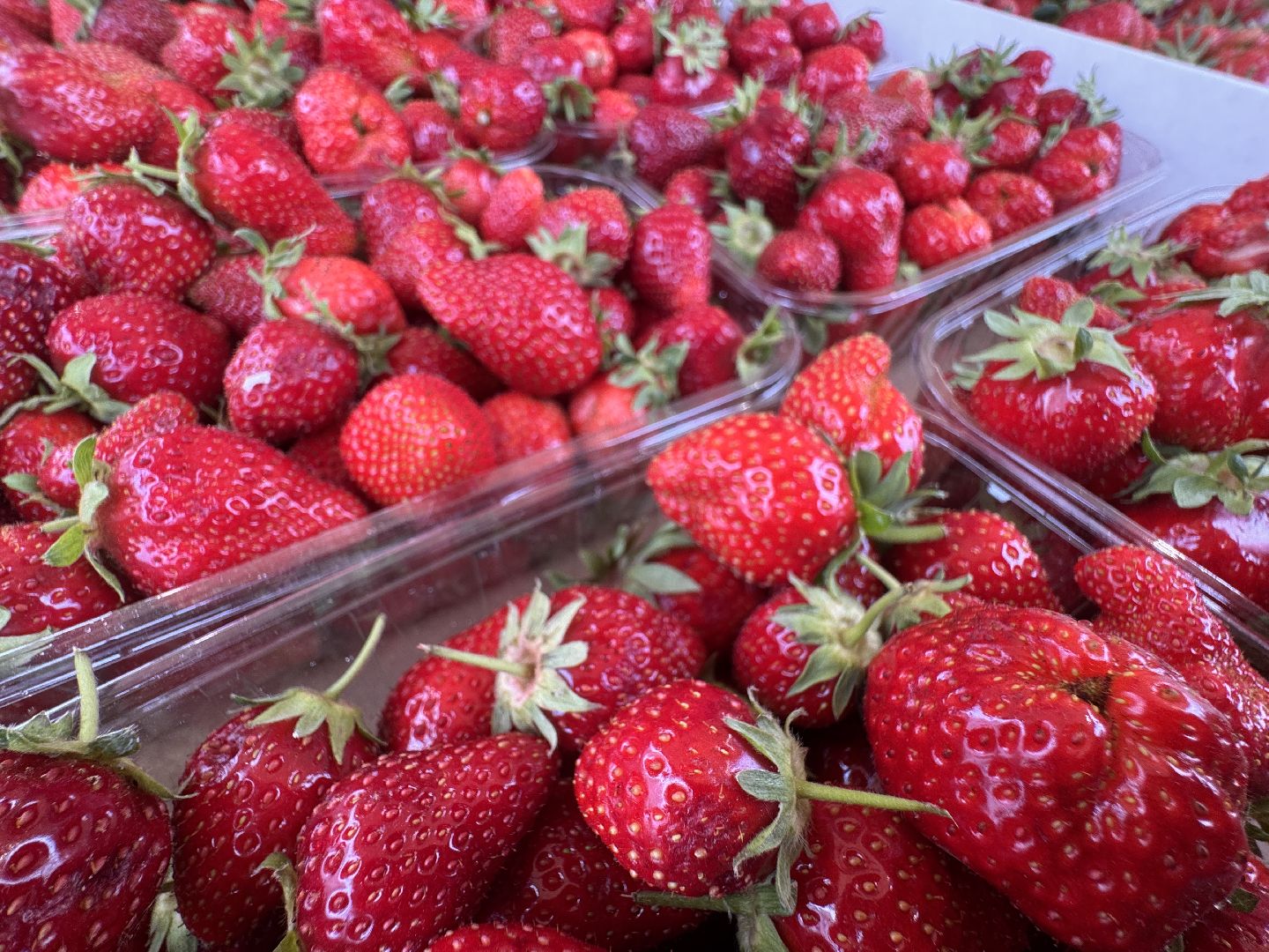 Крымская клубника, Сезон клубники, одинцовское подворье,