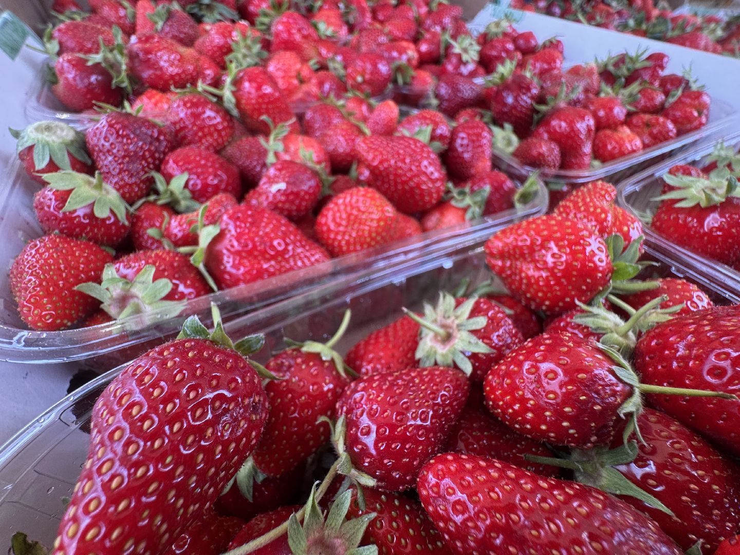 Крымская клубника, Сезон клубники, одинцовское подворье,