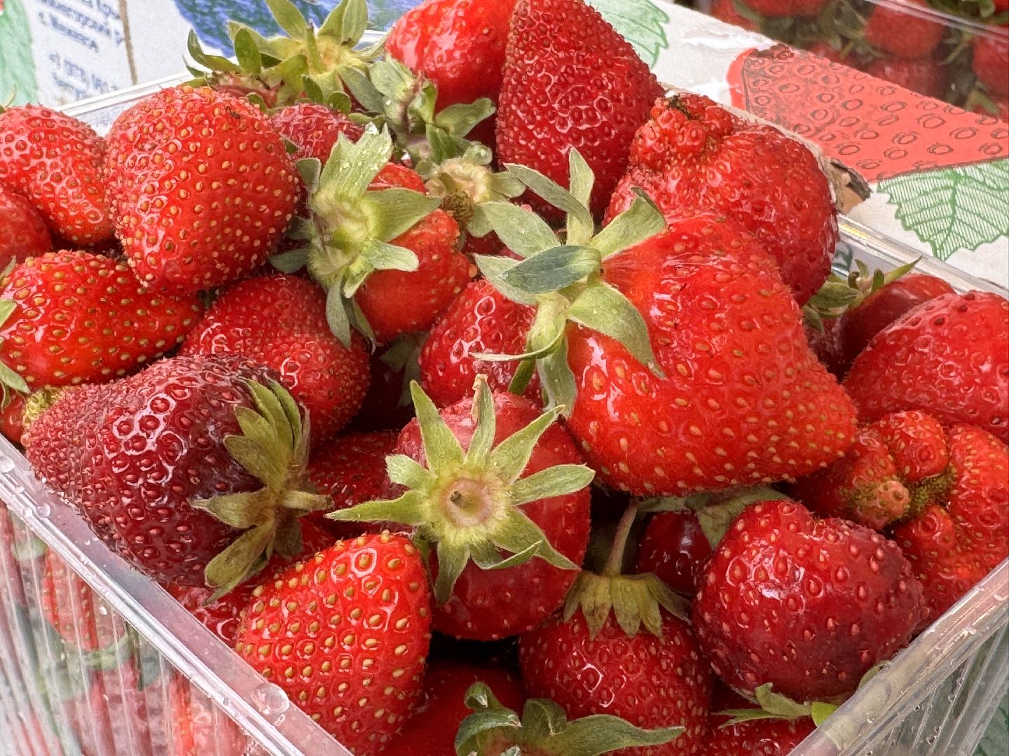 Крымская клубника, Сезон клубники, одинцовское подворье,