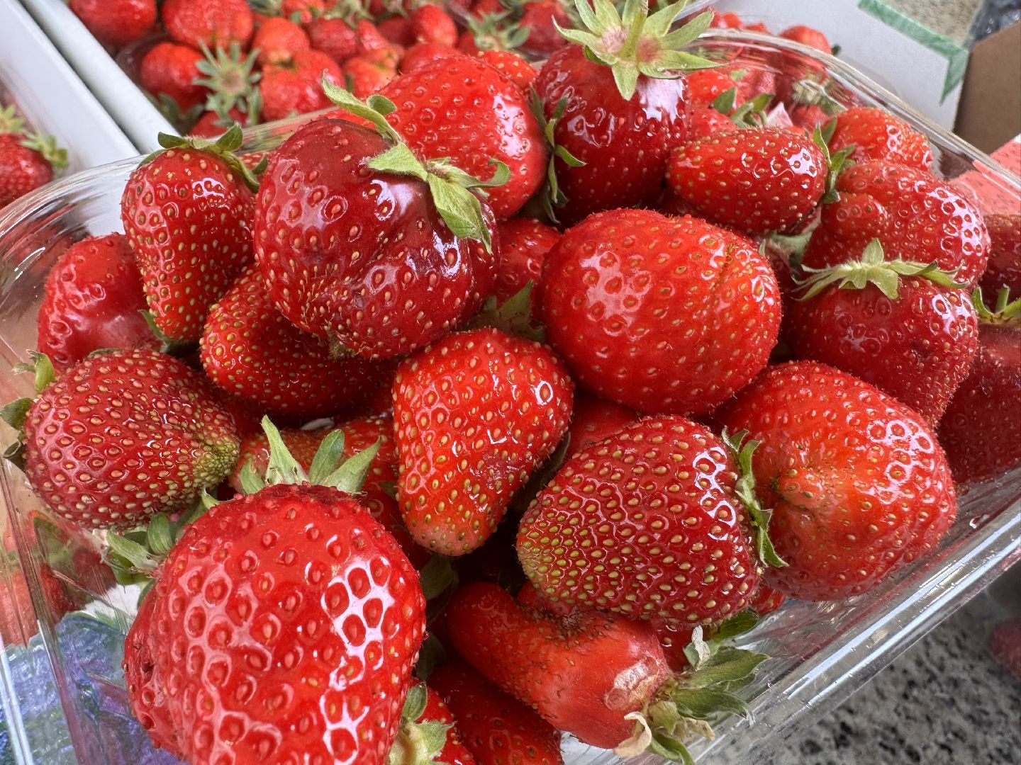 Крымская клубника, Сезон клубники, одинцовское подворье,