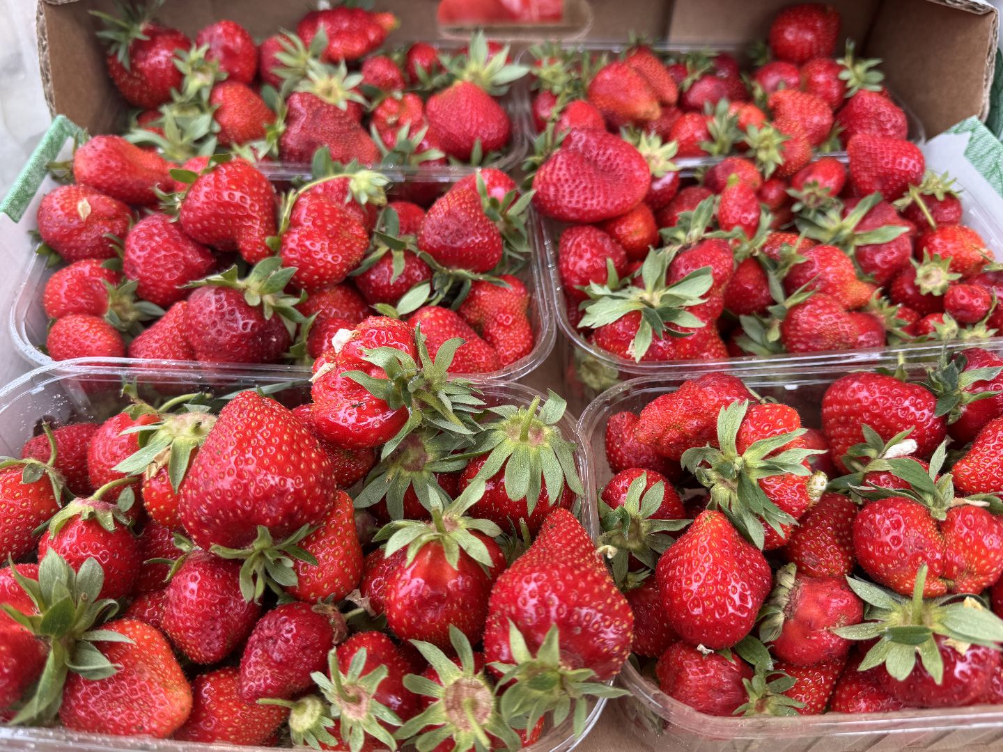 Крымская клубника, Сезон клубники, одинцовское подворье,