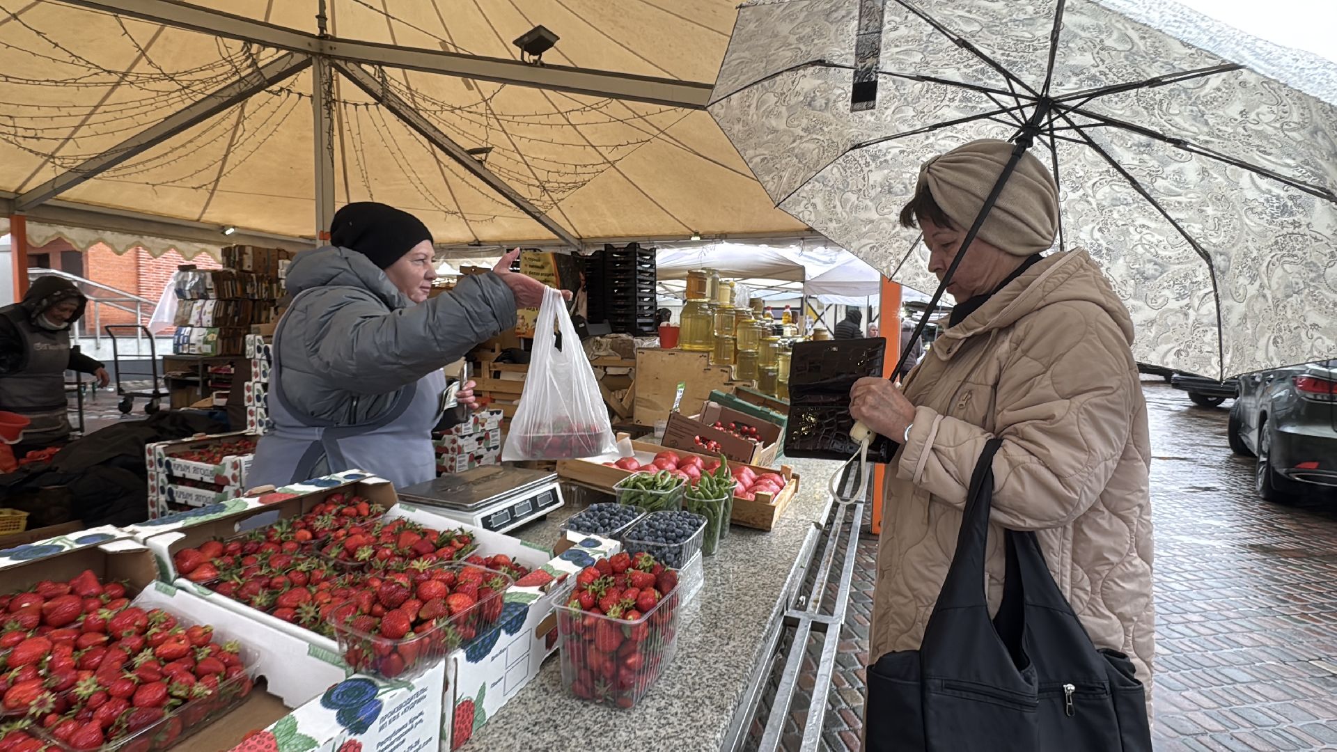 Крымская клубника, Сезон клубники, одинцовское подворье,