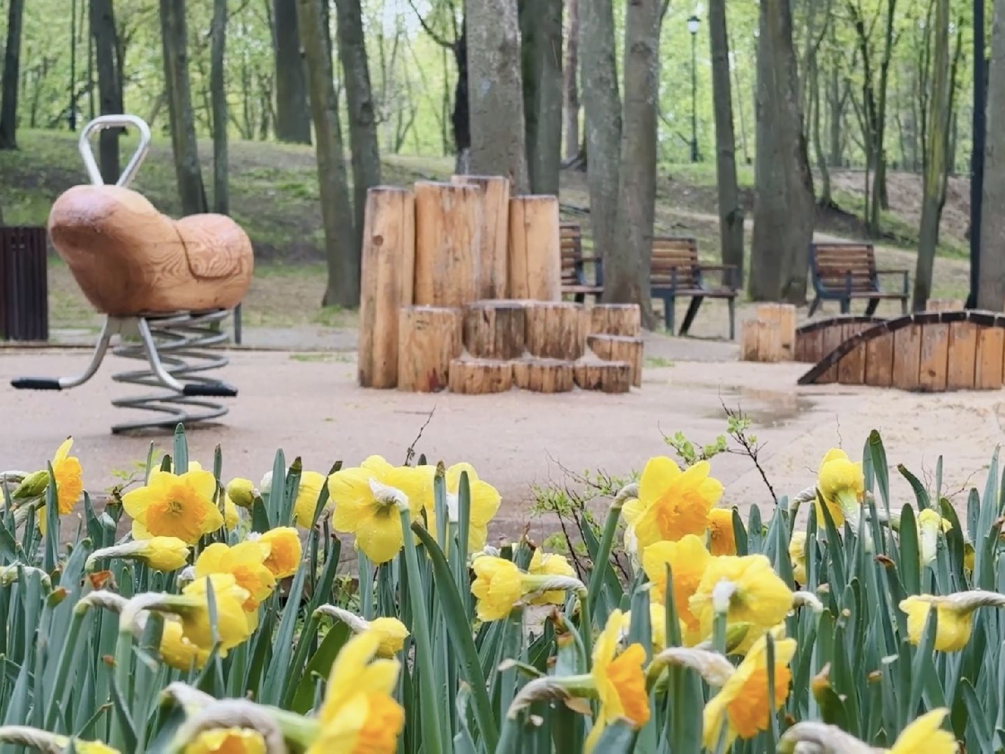 раменское, раменский городской парк,