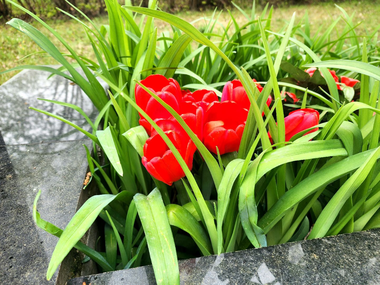 пущино, серпухов, балково, ремонт памятника вов,