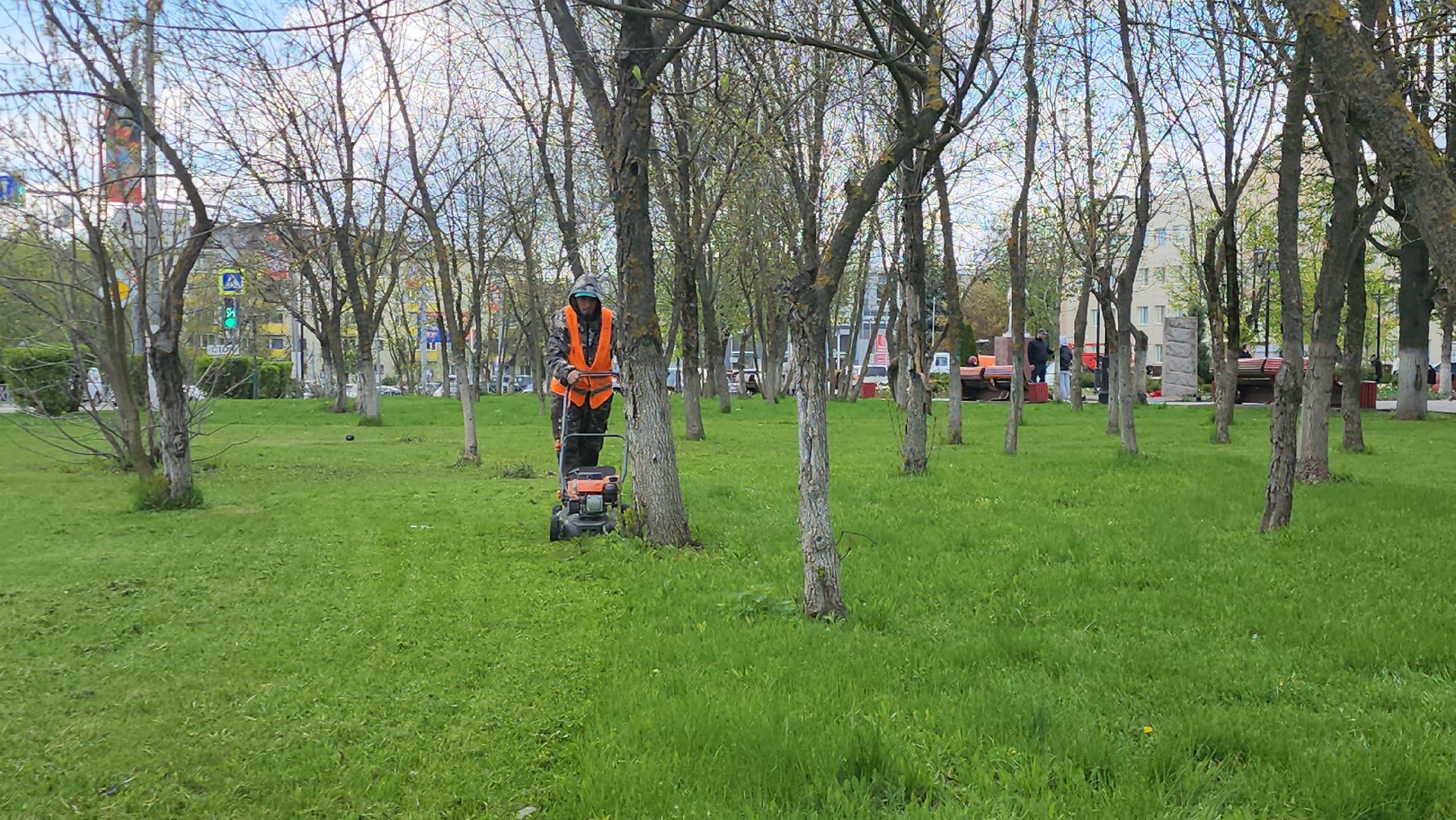 Истра, Сквер, Газон, Благоустройство,