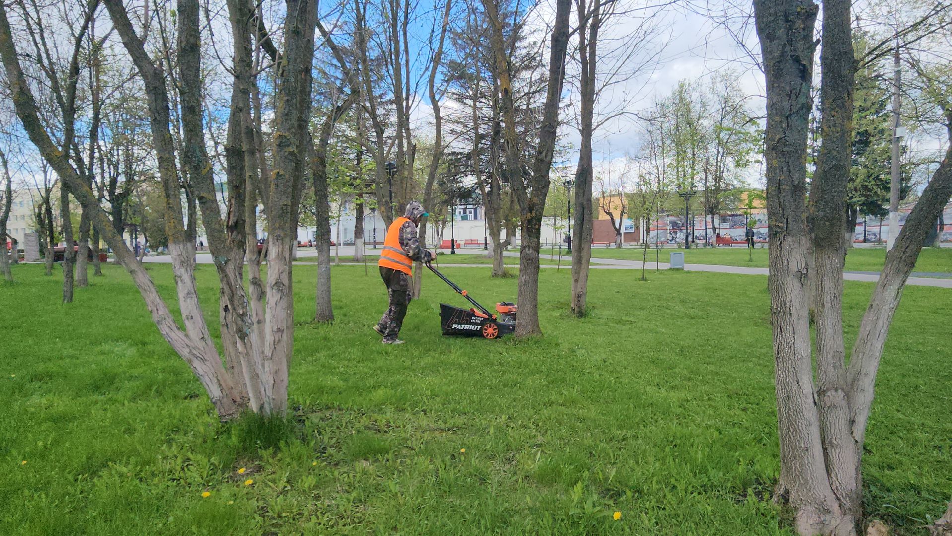 Истра, Сквер, Газон, Благоустройство,