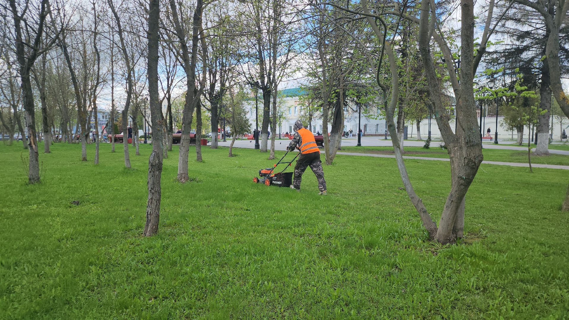 Истра, Сквер, Газон, Благоустройство,
