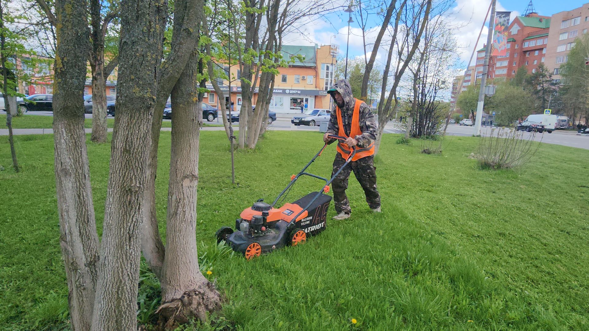 Истра, Сквер, Газон, Благоустройство,