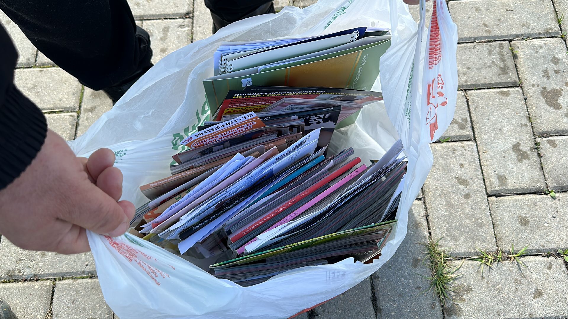 Экология, Фестиваль, Голицыно, Одинцово, Парки Подмосоквья