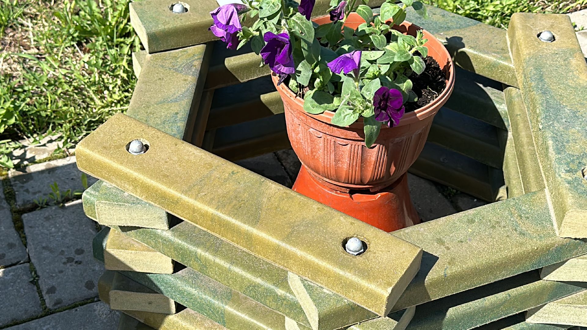 Экология, Фестиваль, Голицыно, Одинцово, Парки Подмосоквья