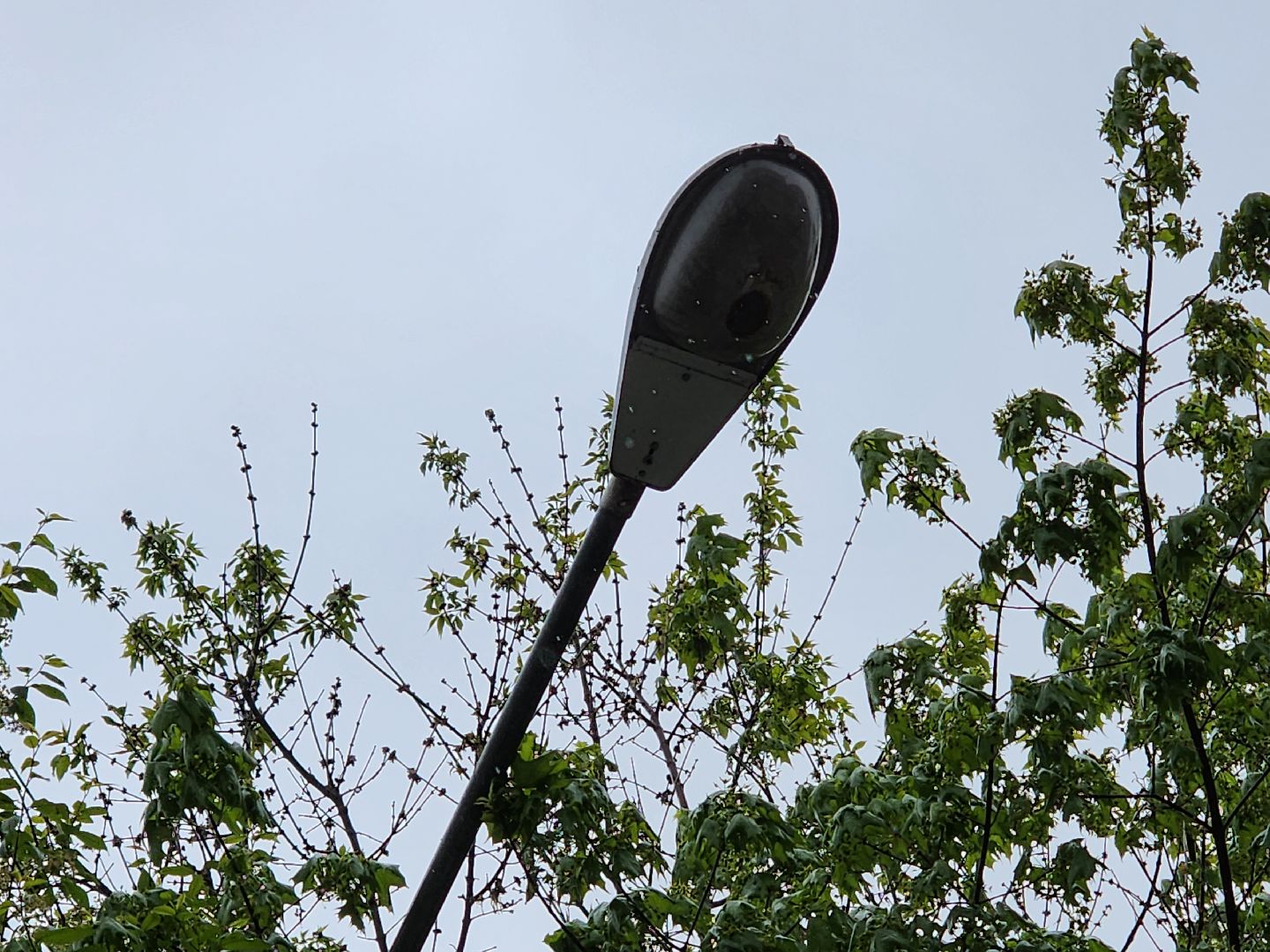 добродел, благоустройство королев, по просьбам жителей, королёв,