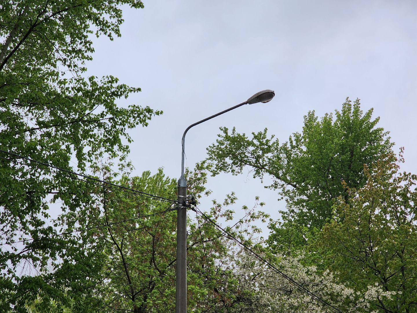 добродел, благоустройство королев, по просьбам жителей, королёв,