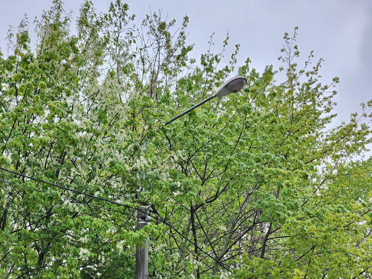 добродел, благоустройство королев, по просьбам жителей, королёв,