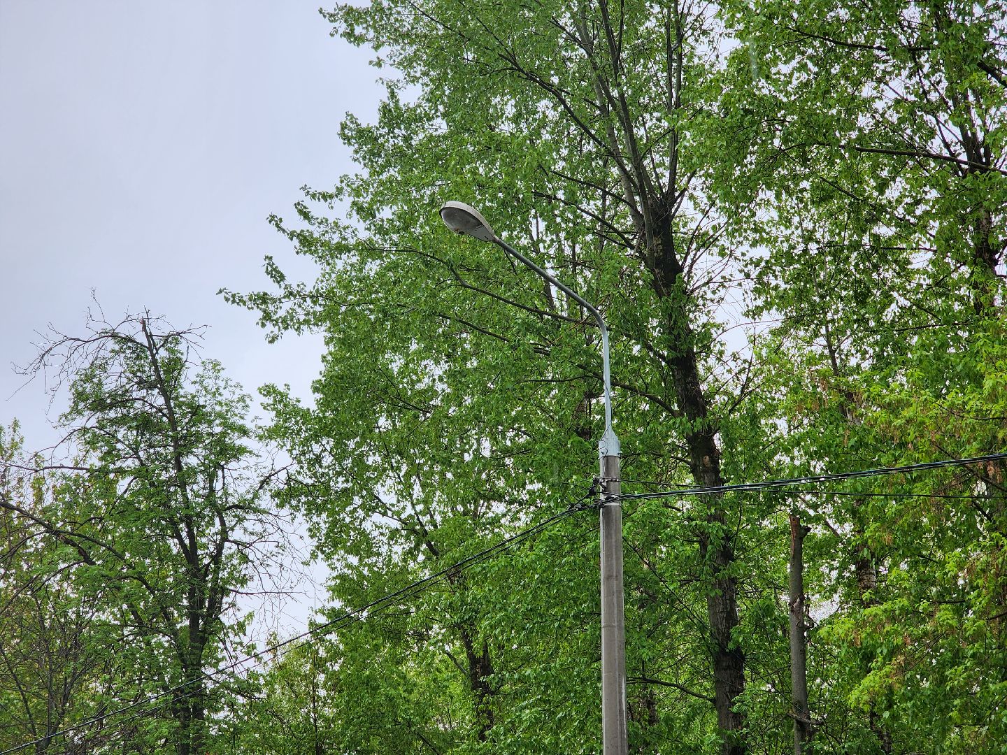 добродел, благоустройство королев, по просьбам жителей, королёв,