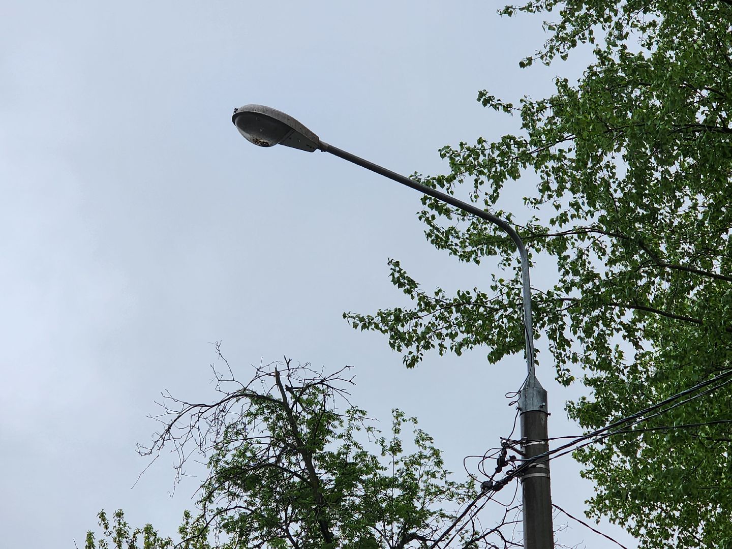 добродел, благоустройство королев, по просьбам жителей, королёв,