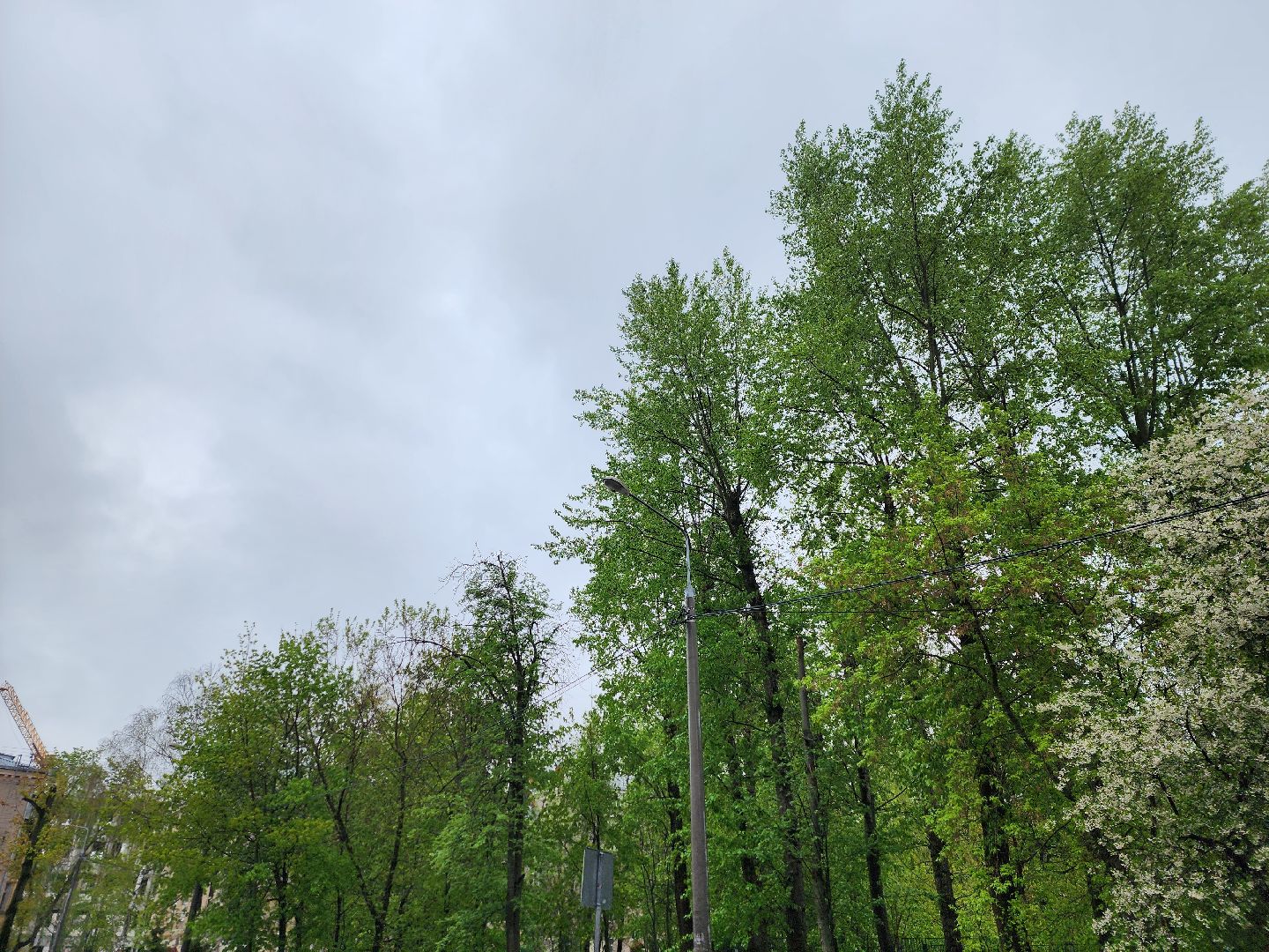 добродел, благоустройство королев, по просьбам жителей, королёв,