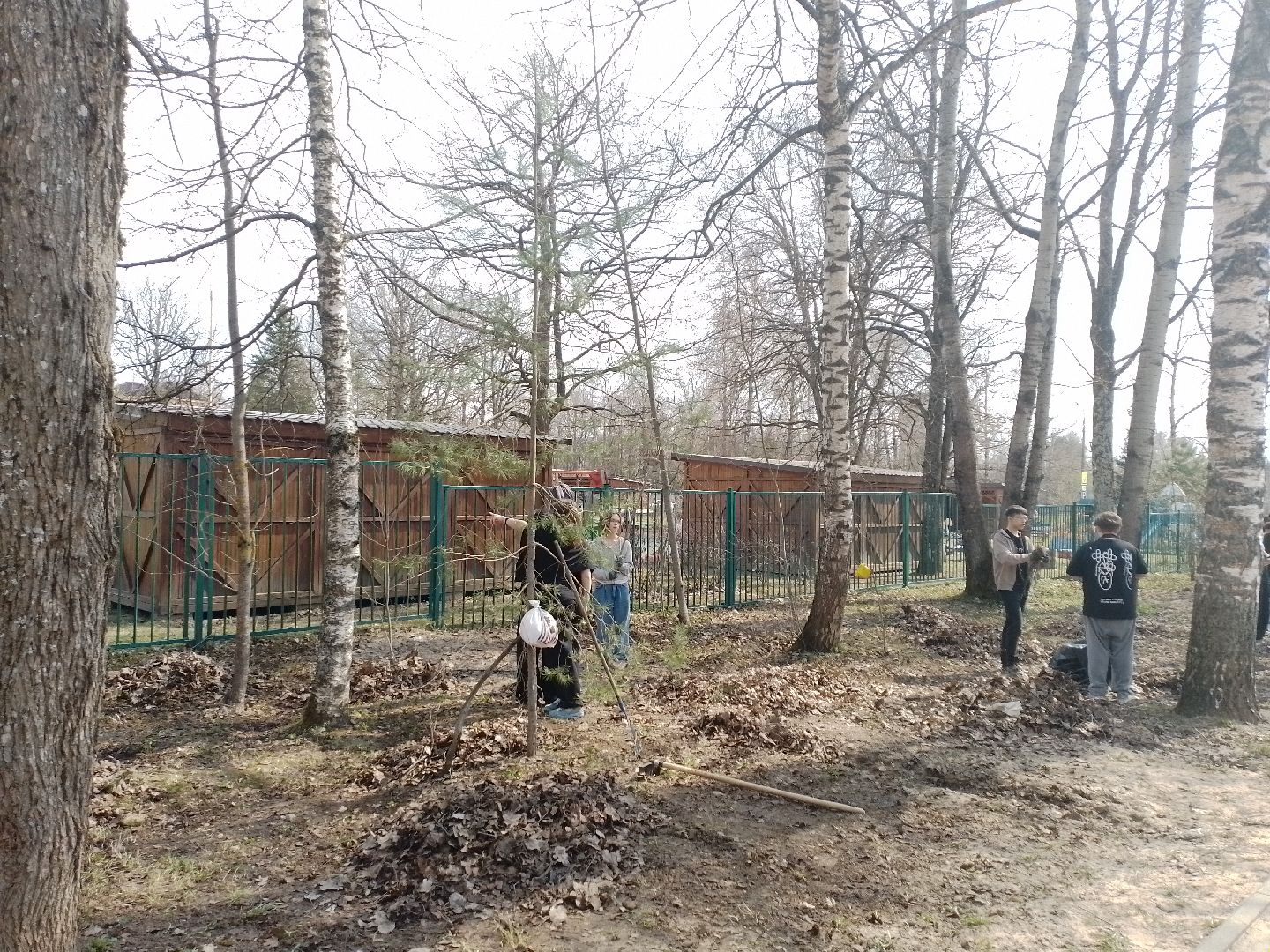 субботник, городской округ восход, благоустройство, акция мы за чистоту,