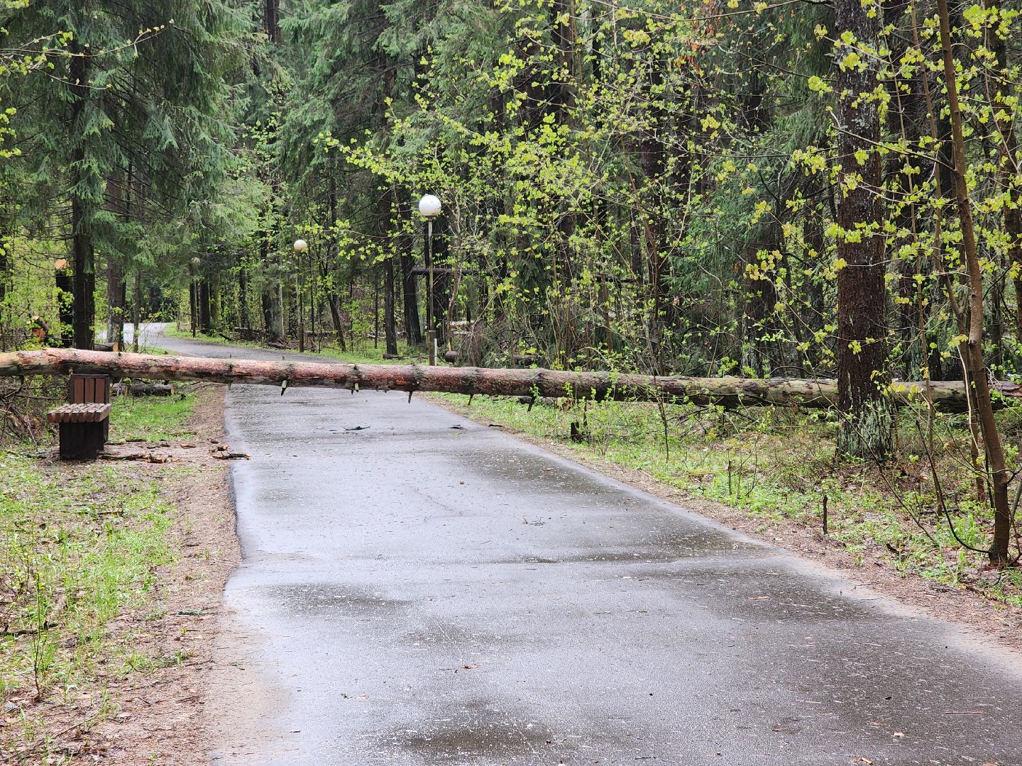 Черноголовка, Ураган, Жкх,