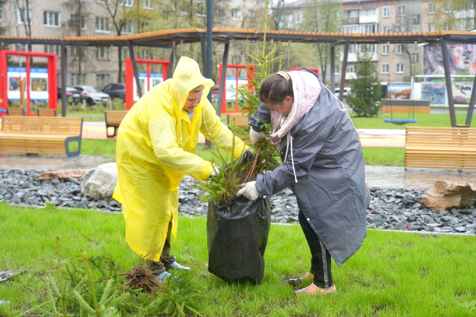 9 мая, сад памяти, экология , сергиев посад, сергиево-посадский городской округ,