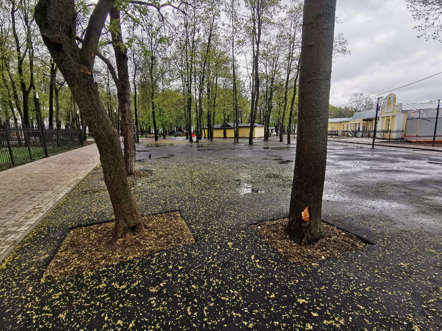 Подольск, парк