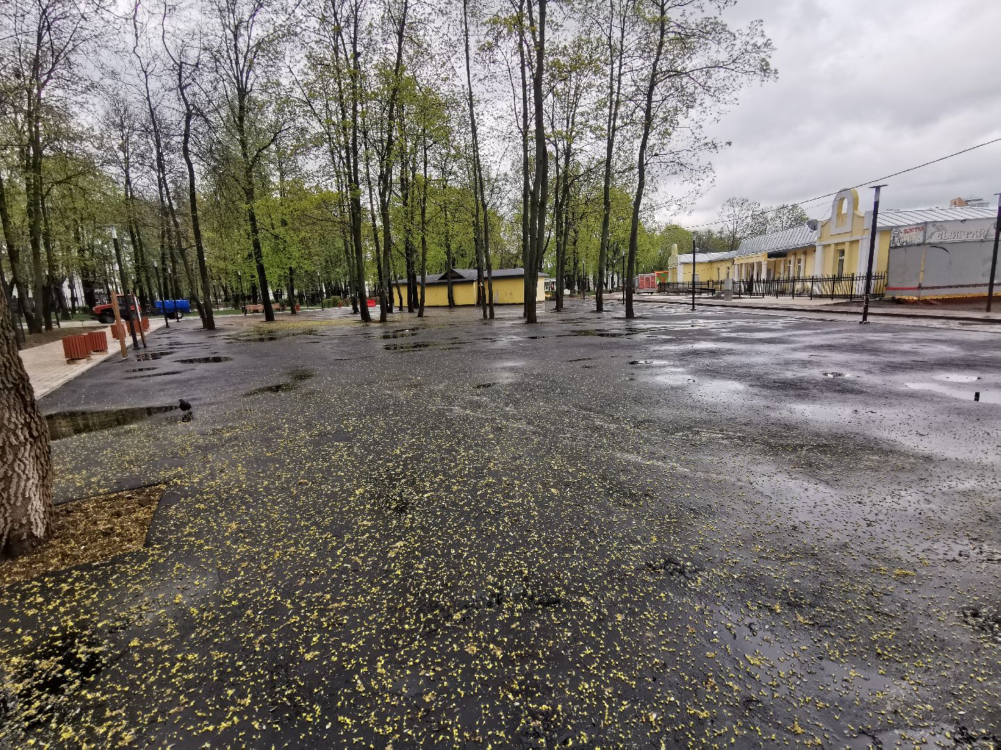 Подольск, парк