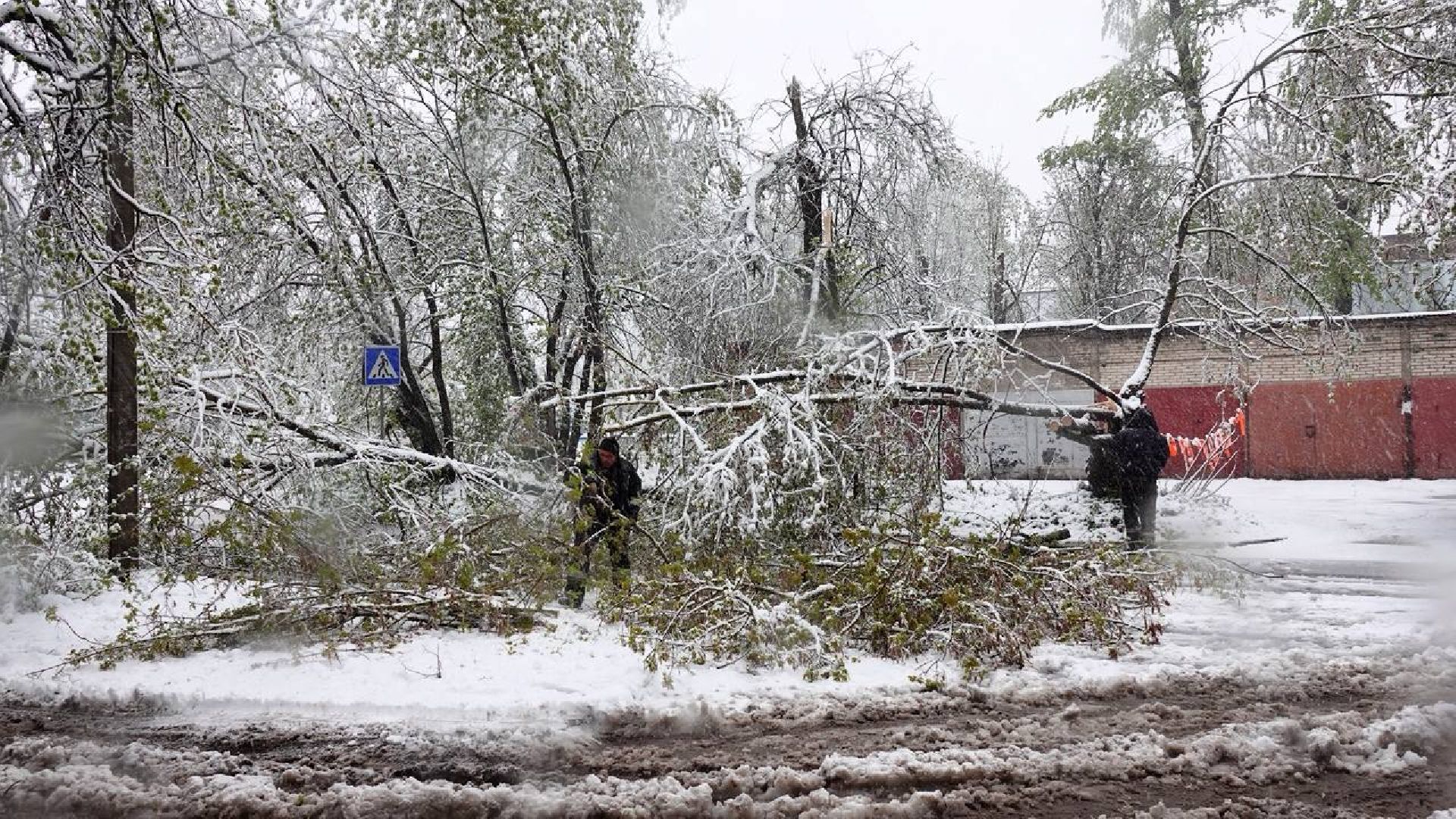 сергиев посад, чп, происшествия, сергиево-посадский городской округ , снегопад,