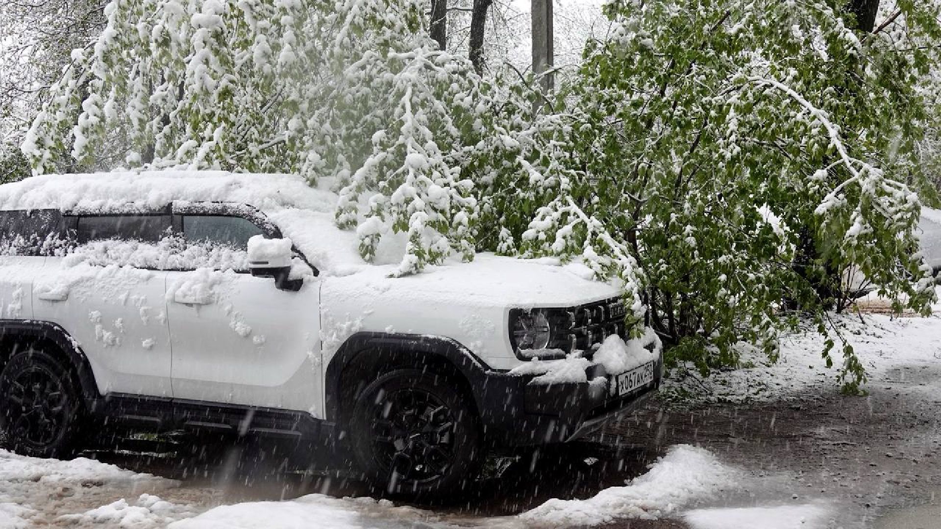 сергиев посад, чп, происшествия, сергиево-посадский городской округ , снегопад,