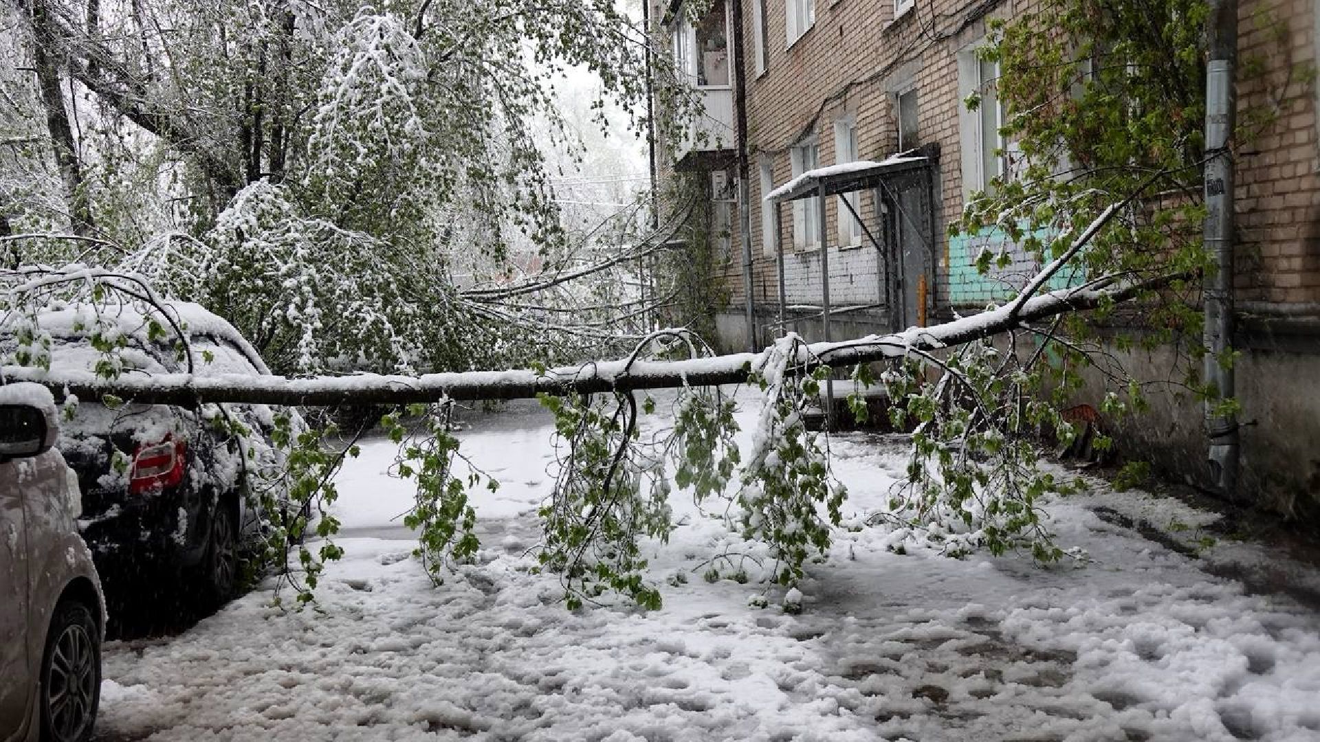 сергиев посад, чп, происшествия, сергиево-посадский городской округ , снегопад,