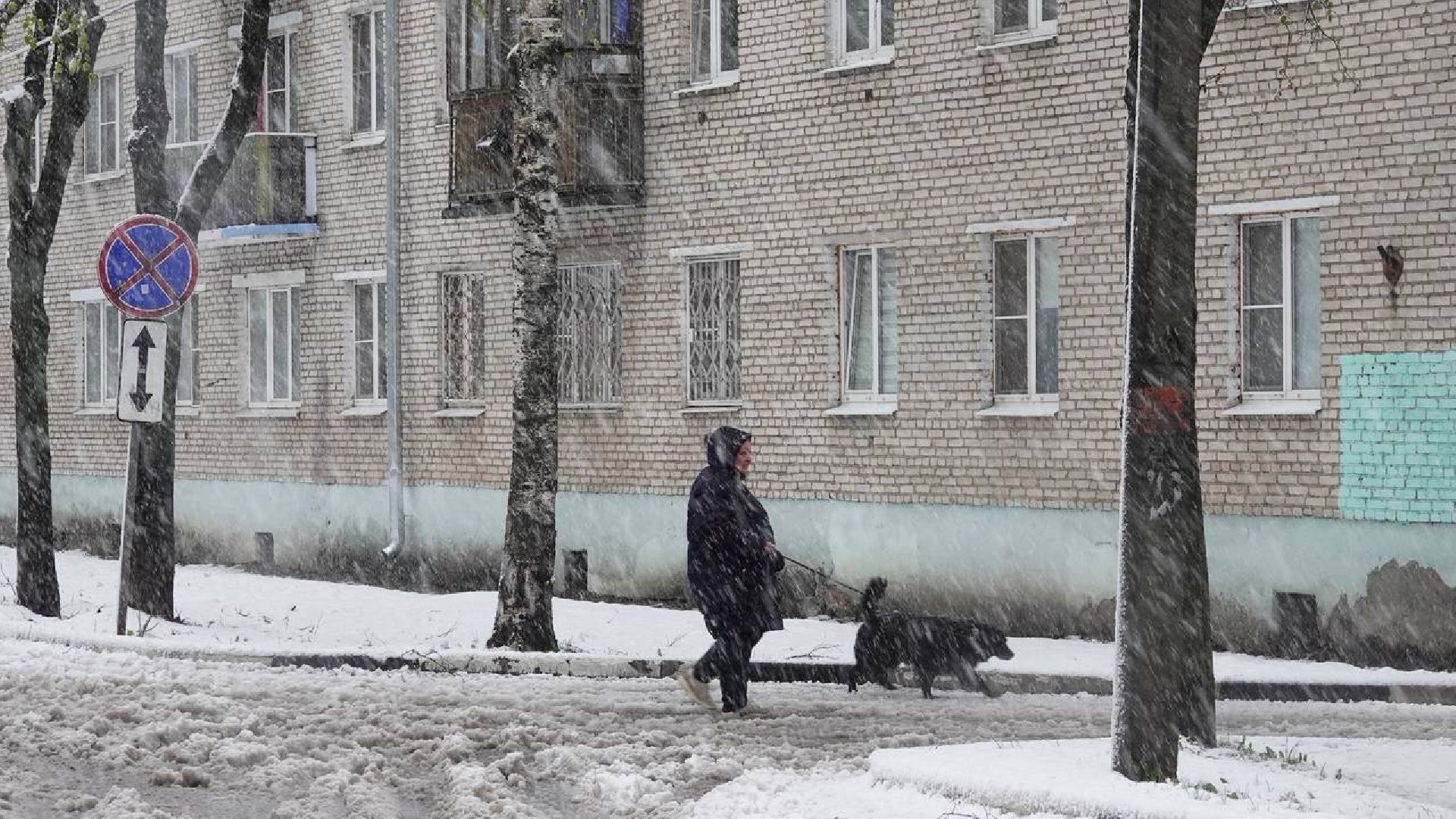 сергиев посад, чп, происшествия, сергиево-посадский городской округ , снегопад,