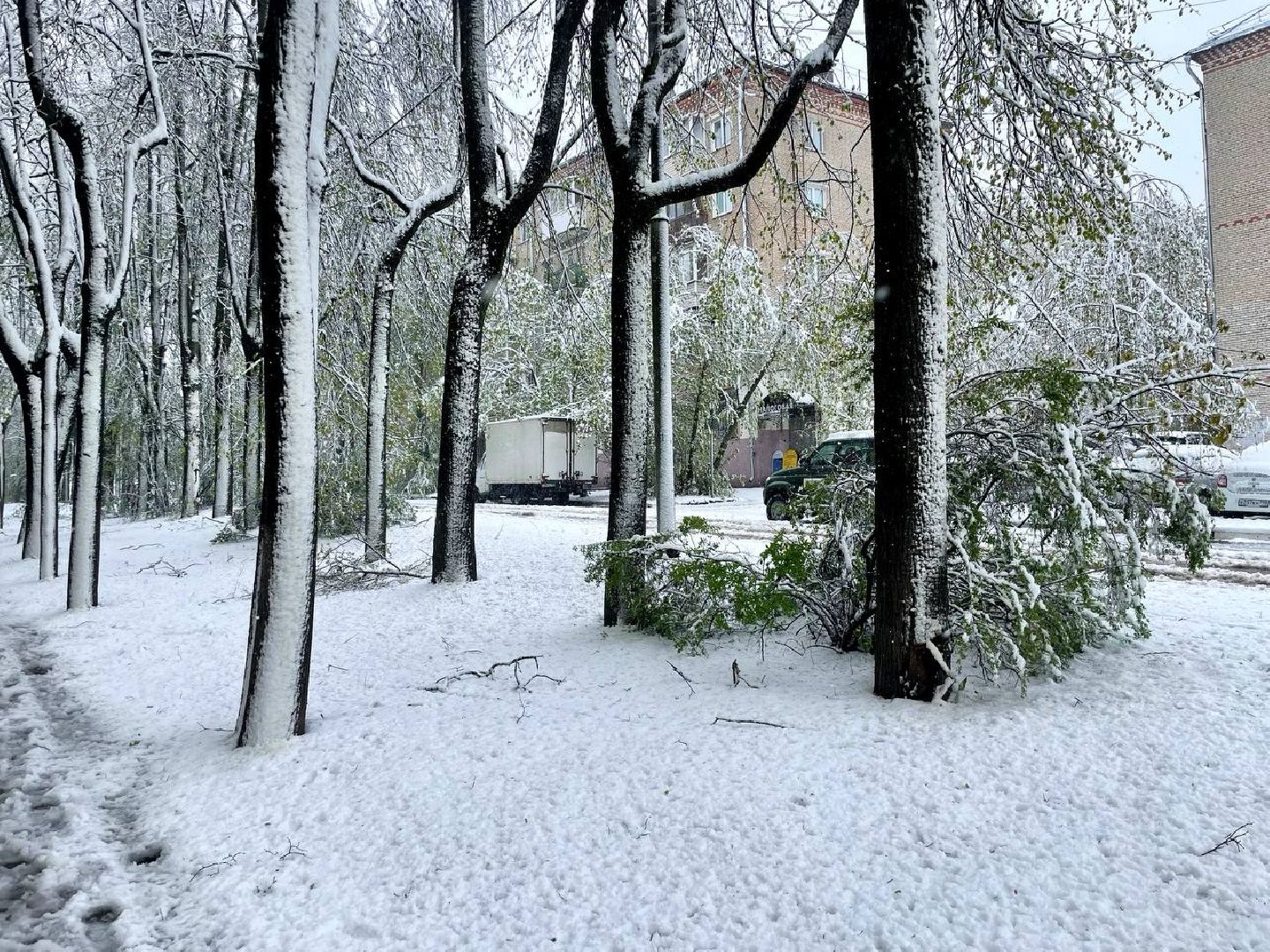 сергиев посад, чп, происшествия, сергиево-посадский городской округ , снегопад,
