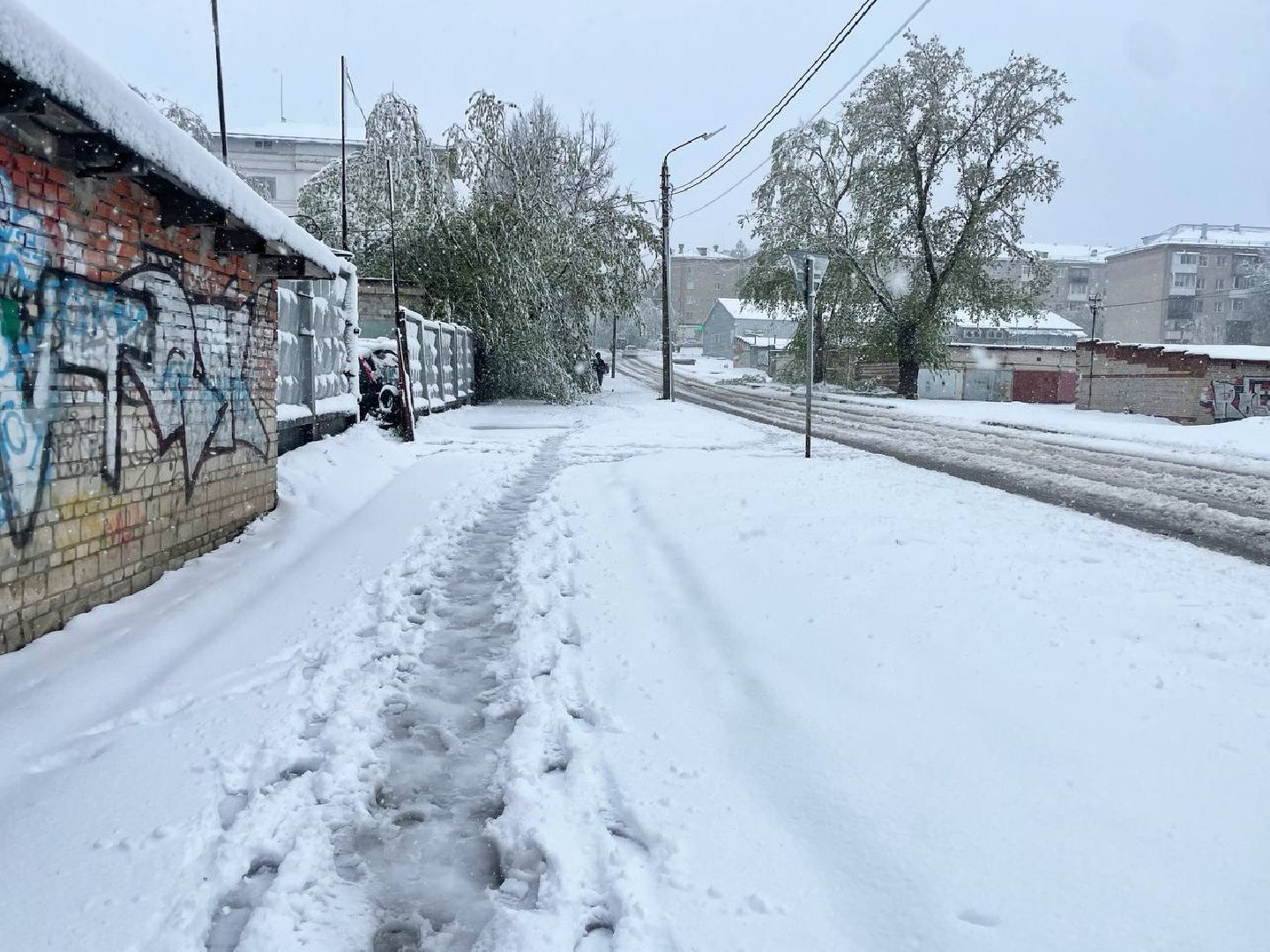 сергиев посад, чп, происшествия, сергиево-посадский городской округ , снегопад,