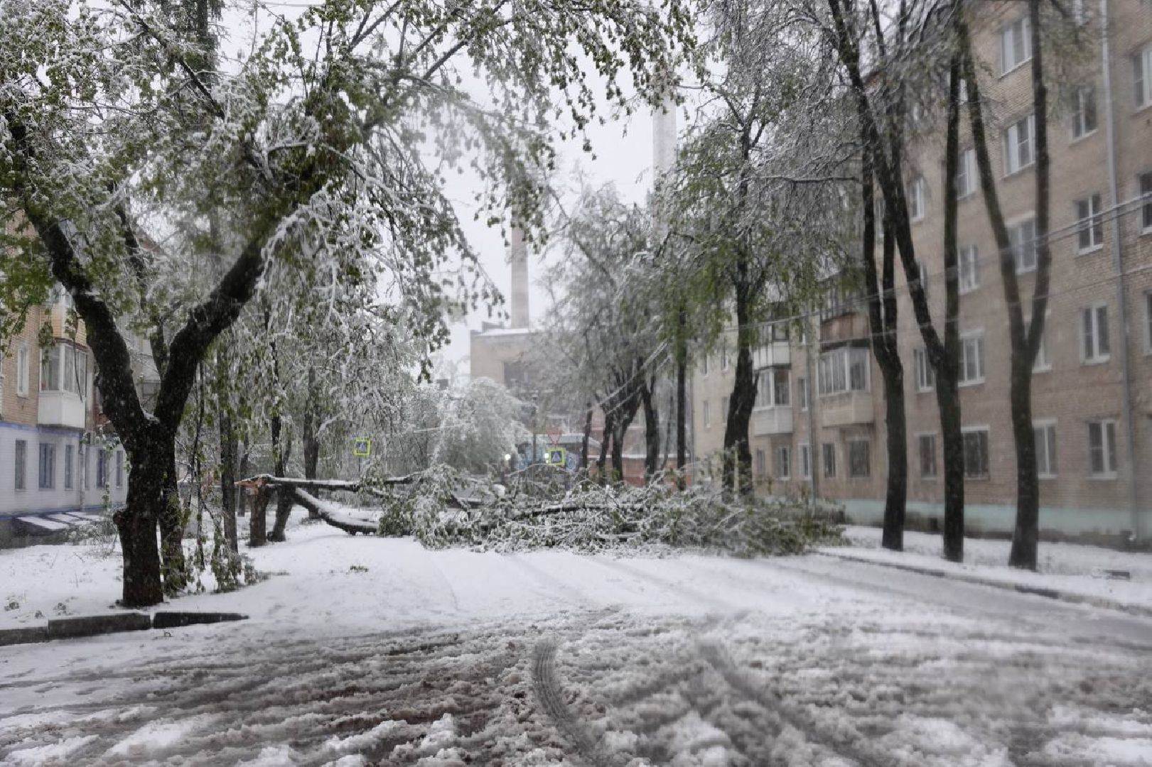 сергиев посад, чп, происшествия, сергиево-посадский городской округ , снегопад,
